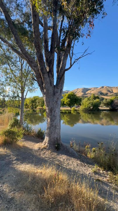 Ed R. Levin County Park - Dog Parks Near Me - Milpitas, California