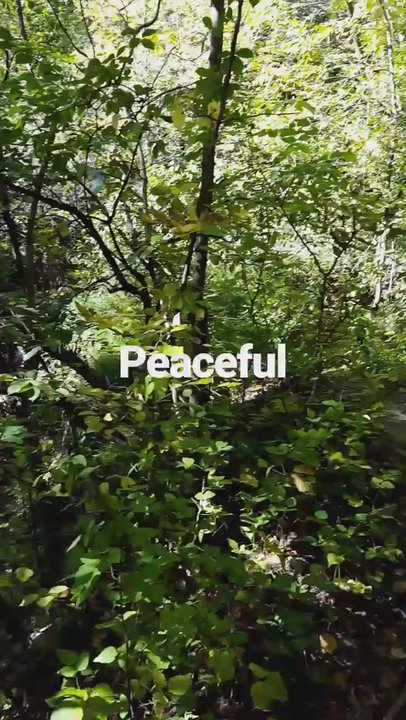 Shadow Falls Park - Parks Near Me - Saint Paul, Minnesota