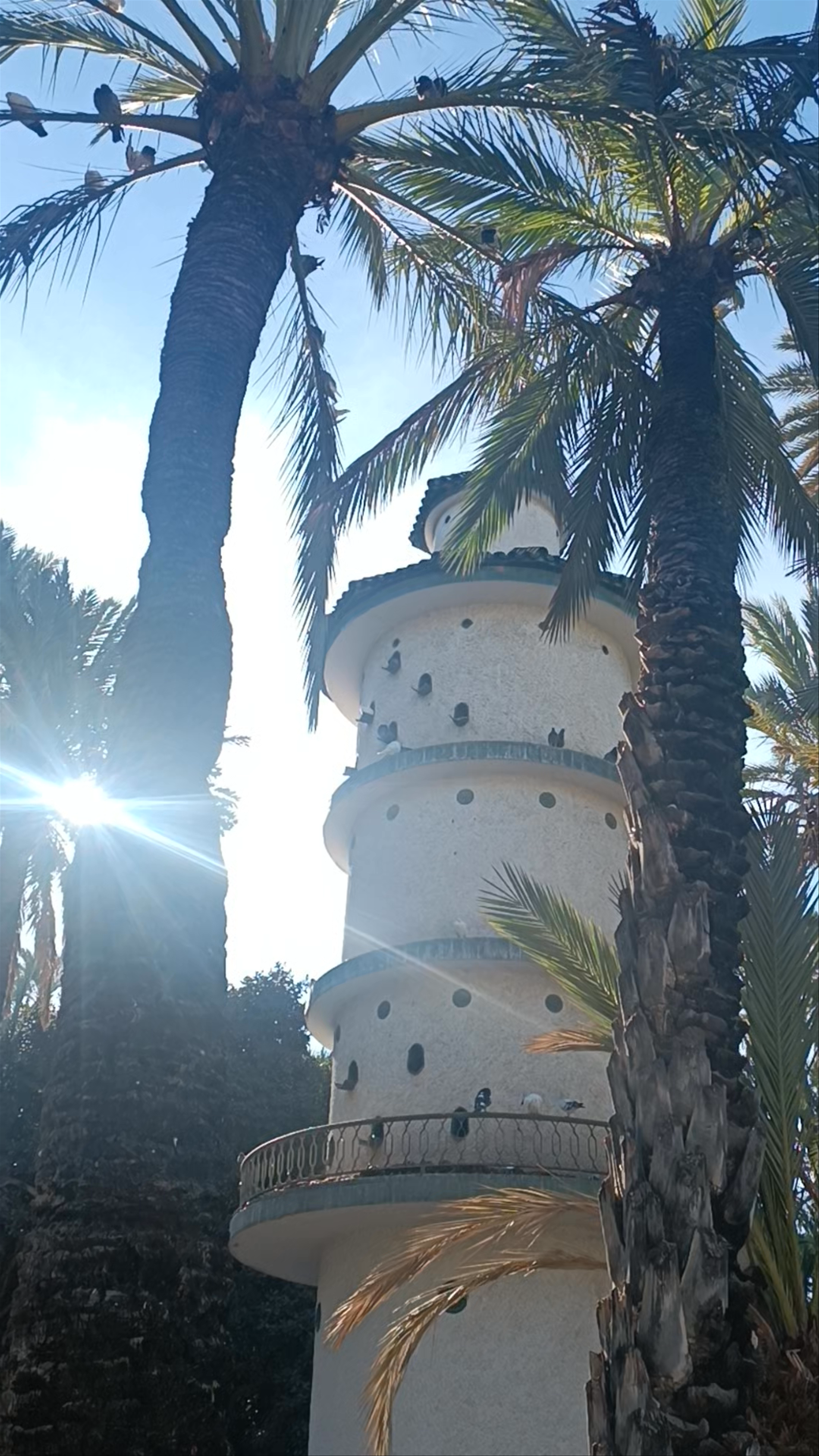 El Palmeral de Elche