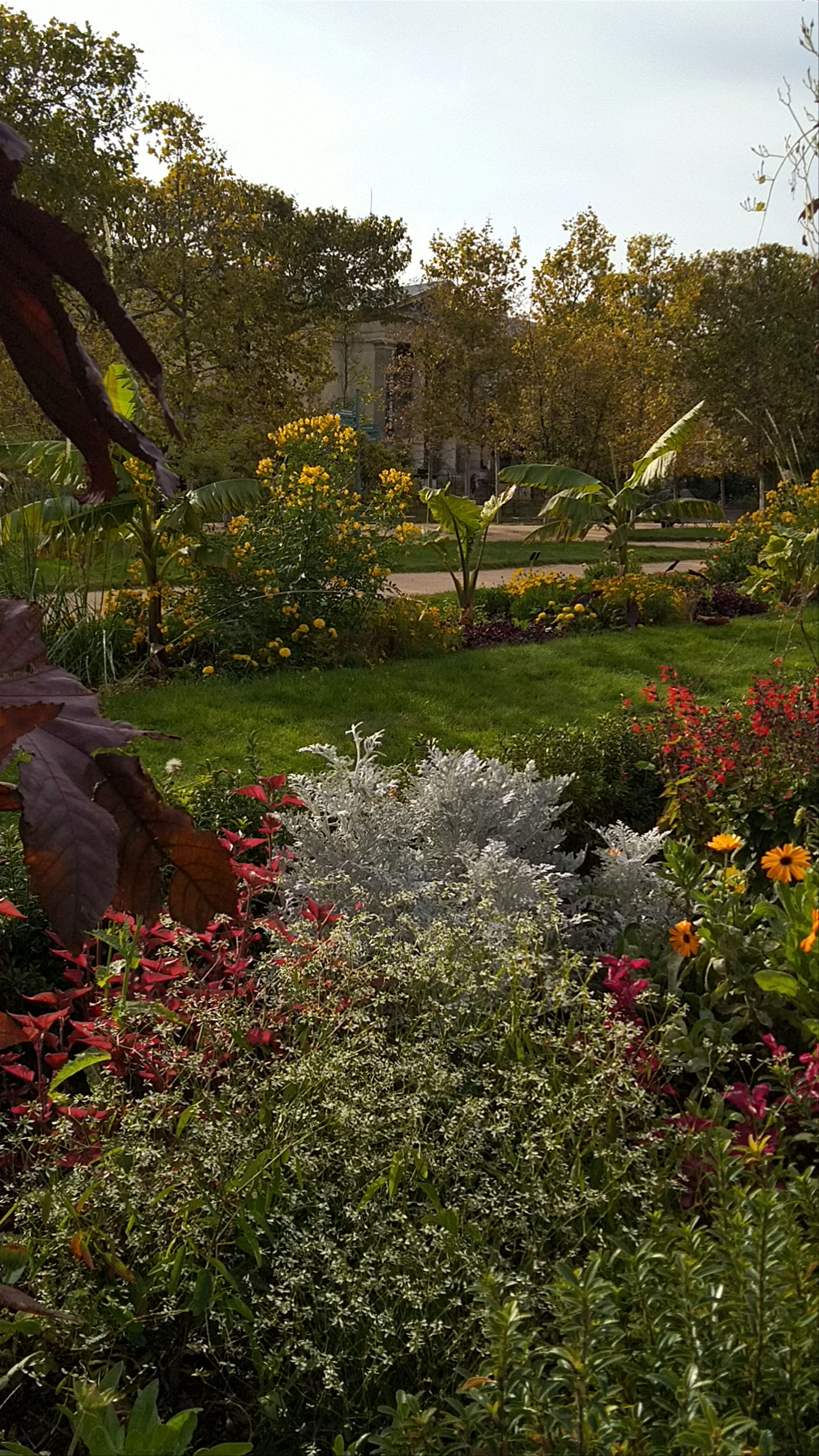 Jardin des Plantes: A Lush Autumn Stroll in Paris