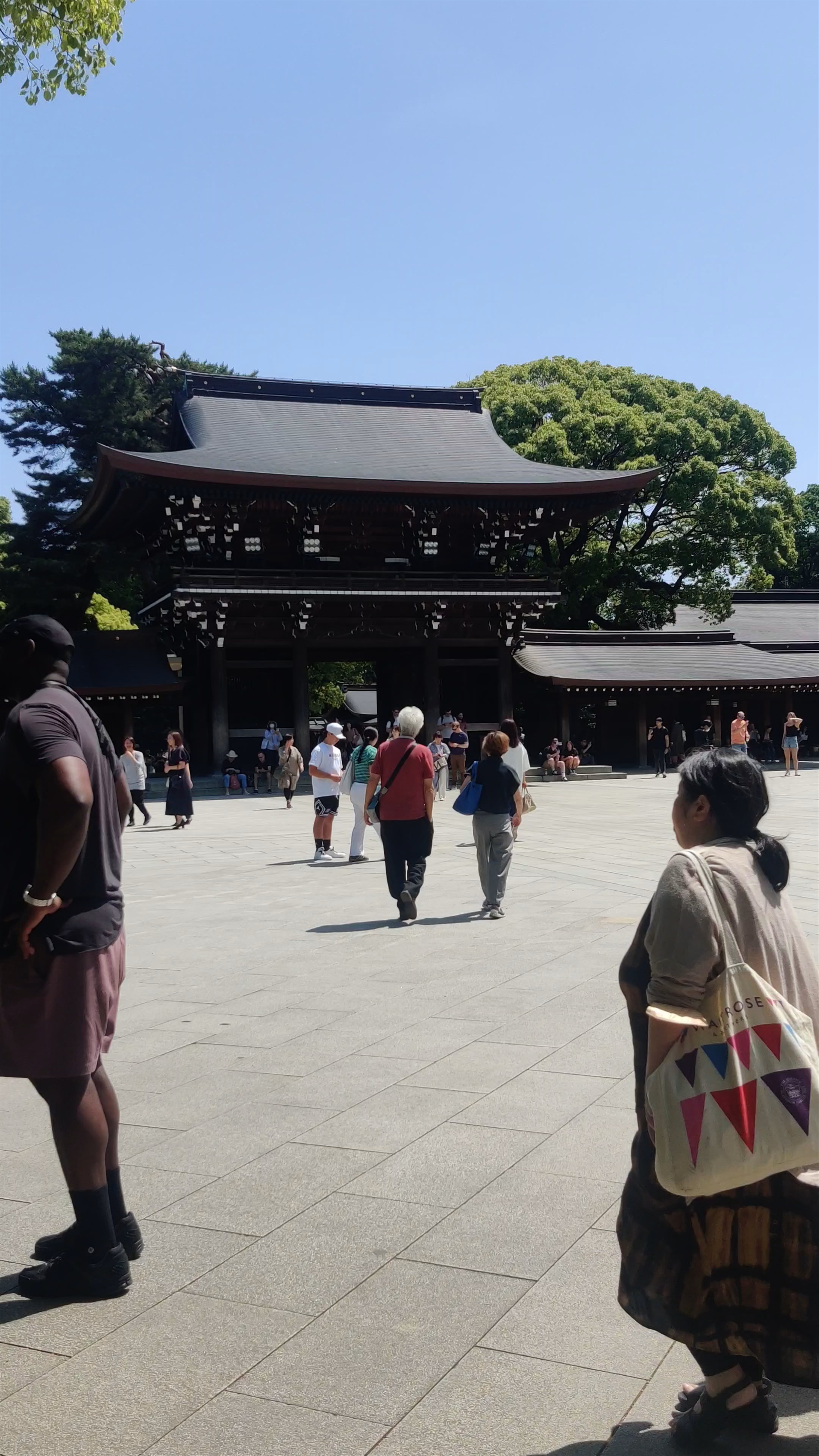 Meiji Jingu: Tranquil Escape in the Heart of Tokyo