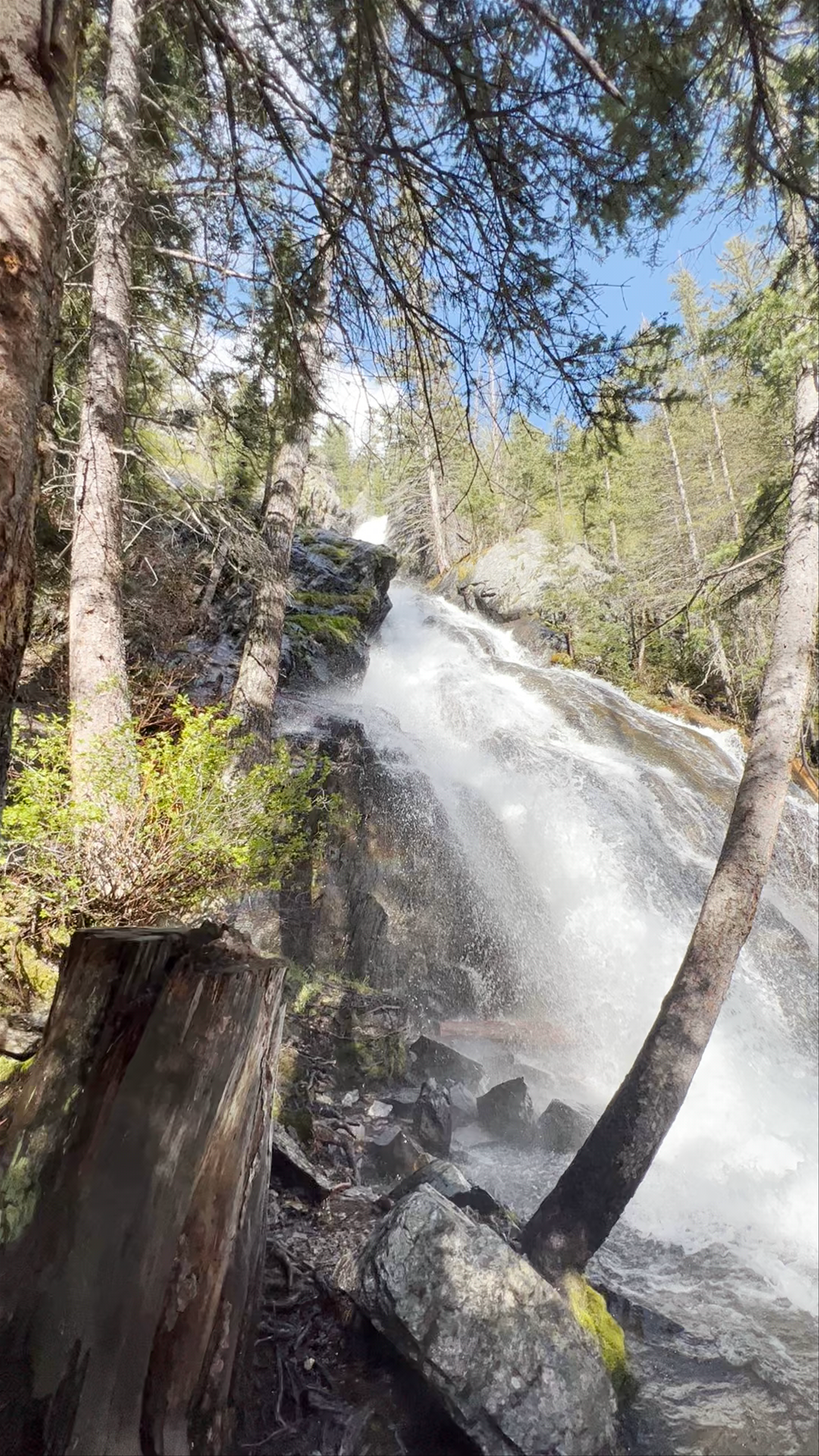 Gallatin National Forest
