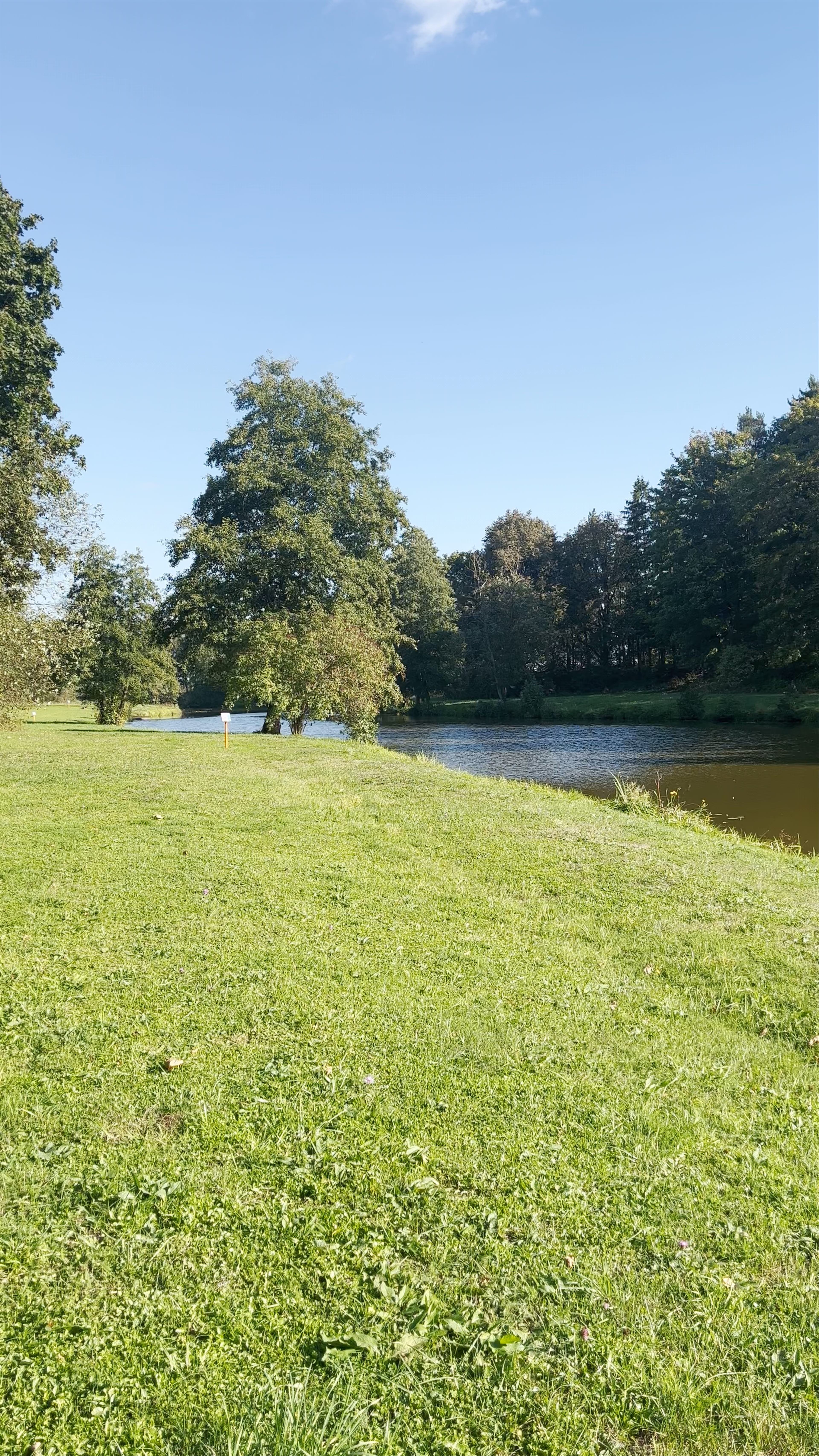 Pajiešmenių ąžuolas