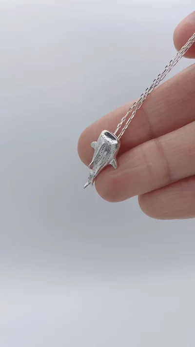 Preview image for video