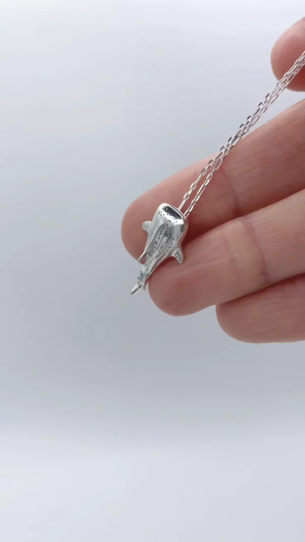 Preview image for video