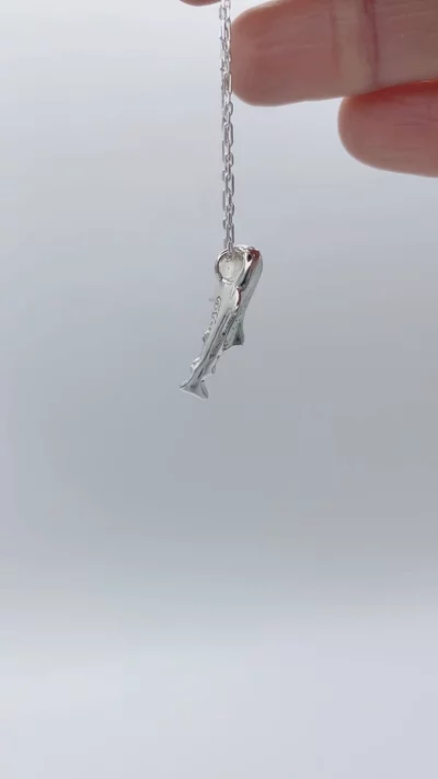 Preview image for video