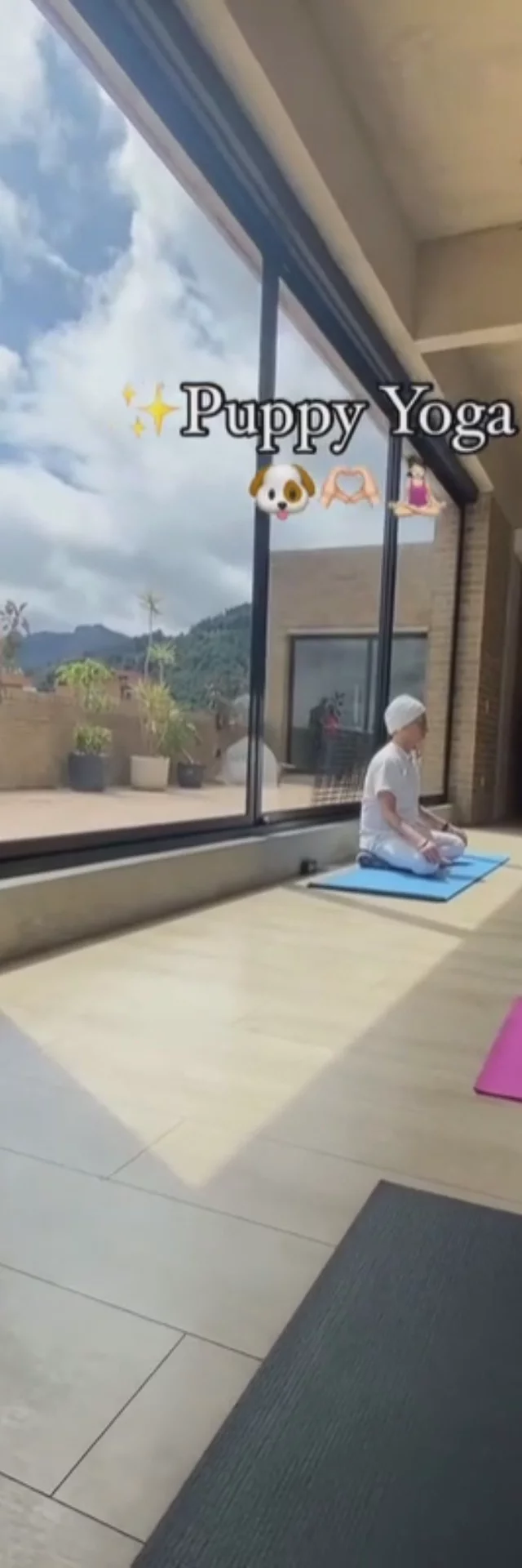 PUPY YOGA