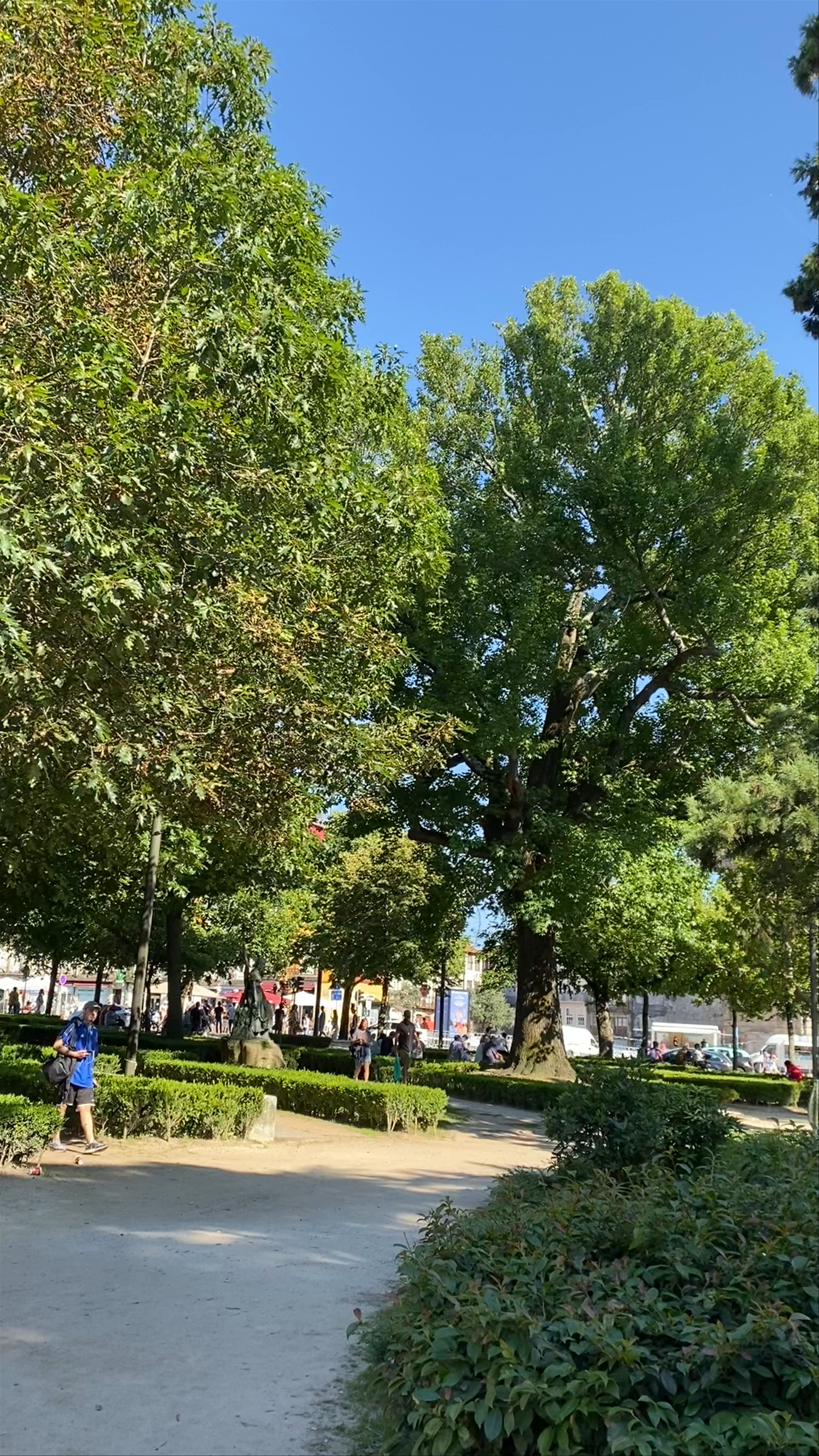 Praça de Lisboa: A Serene Green Oasis in Porto