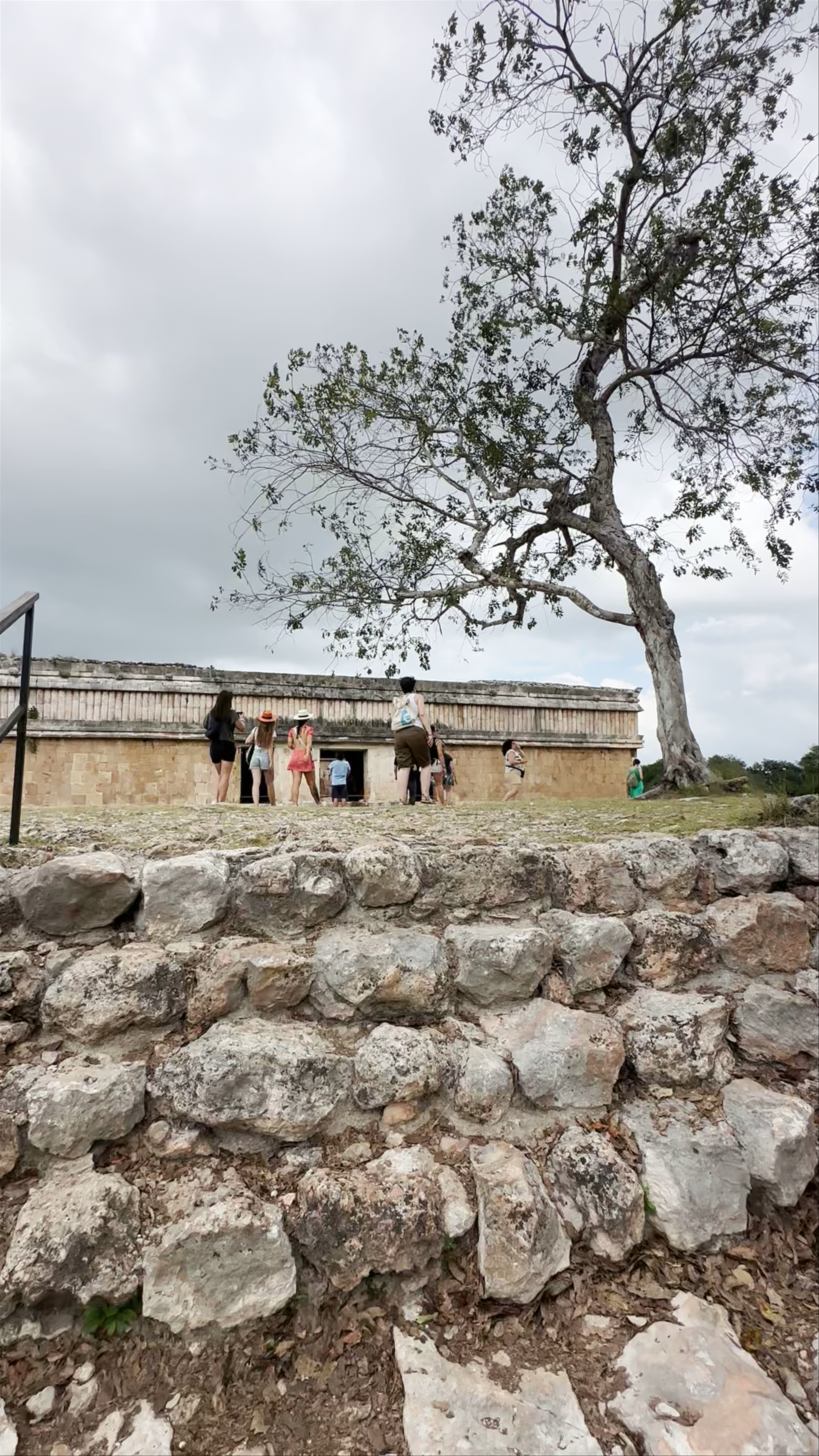 La casa de las Tortugas (House of the turtles)