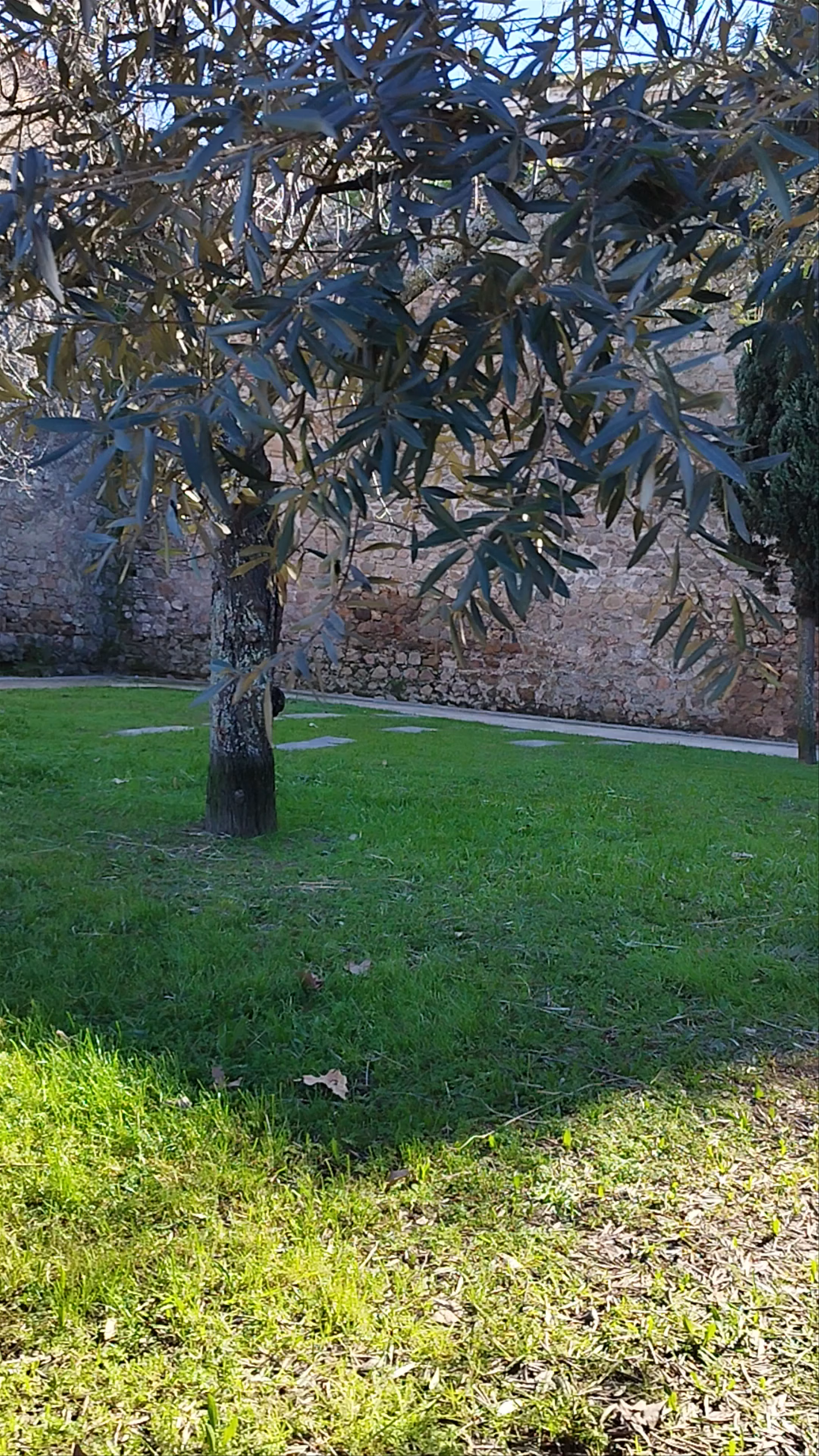 Porta Velha da Lagoa