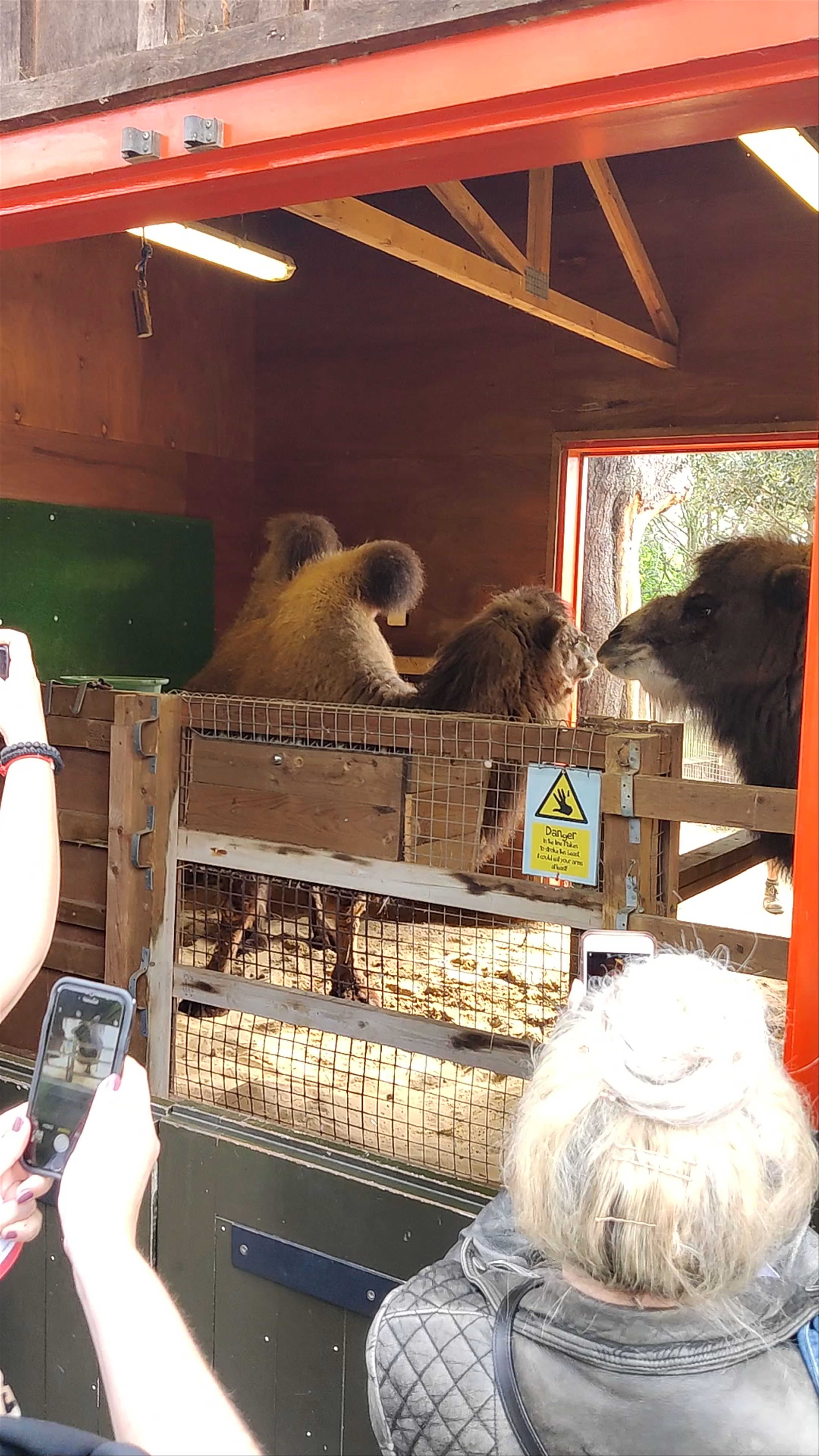 Zoological Society of London