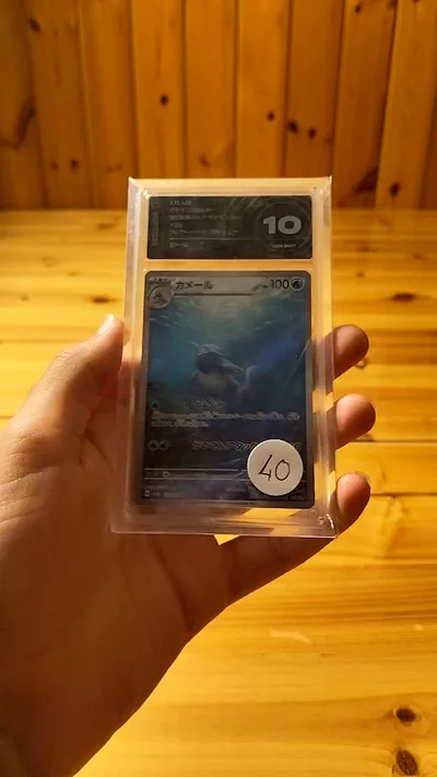 Pokemon Wartortle Ai grading 10