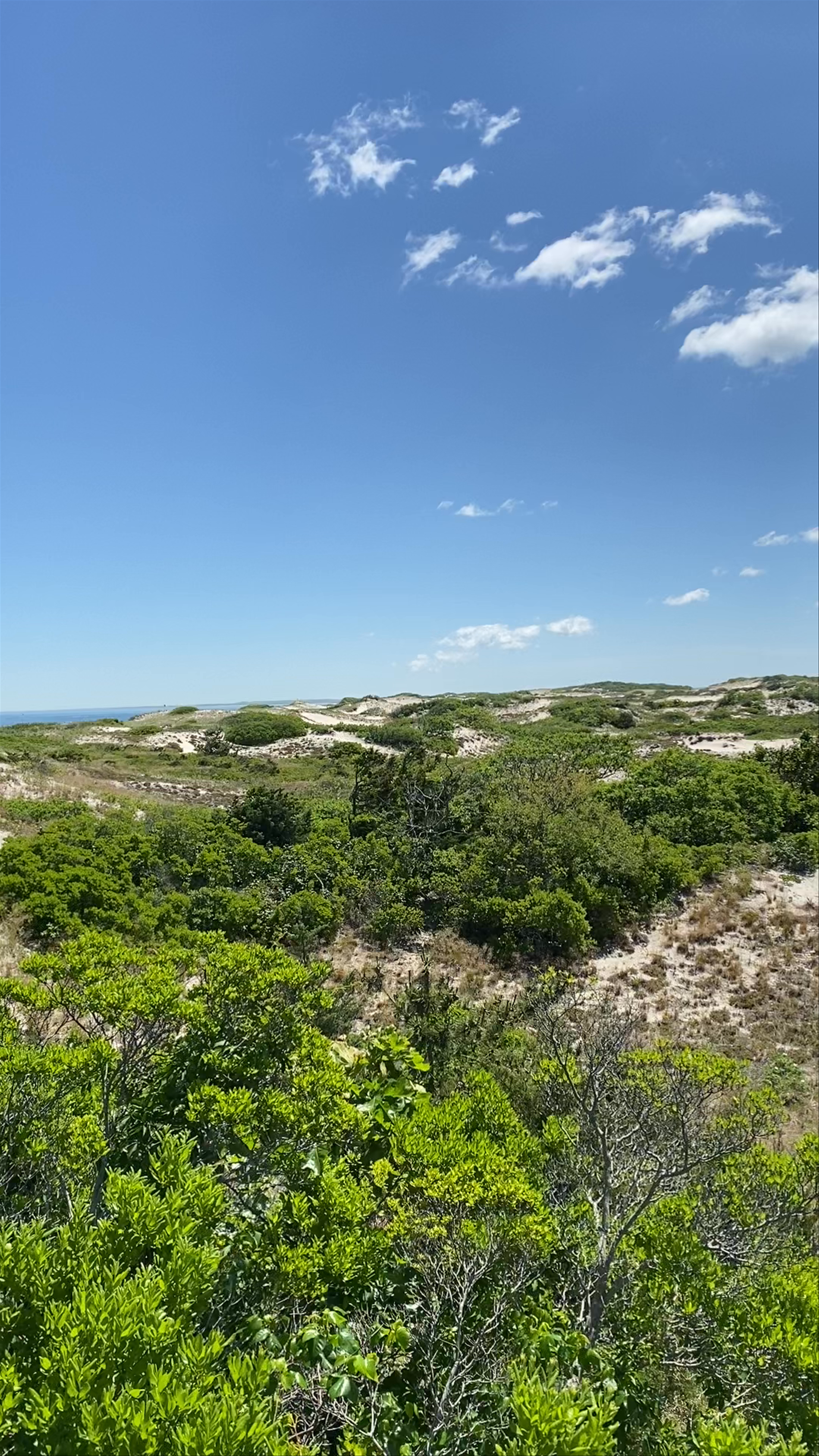 Sandy Neck Beach