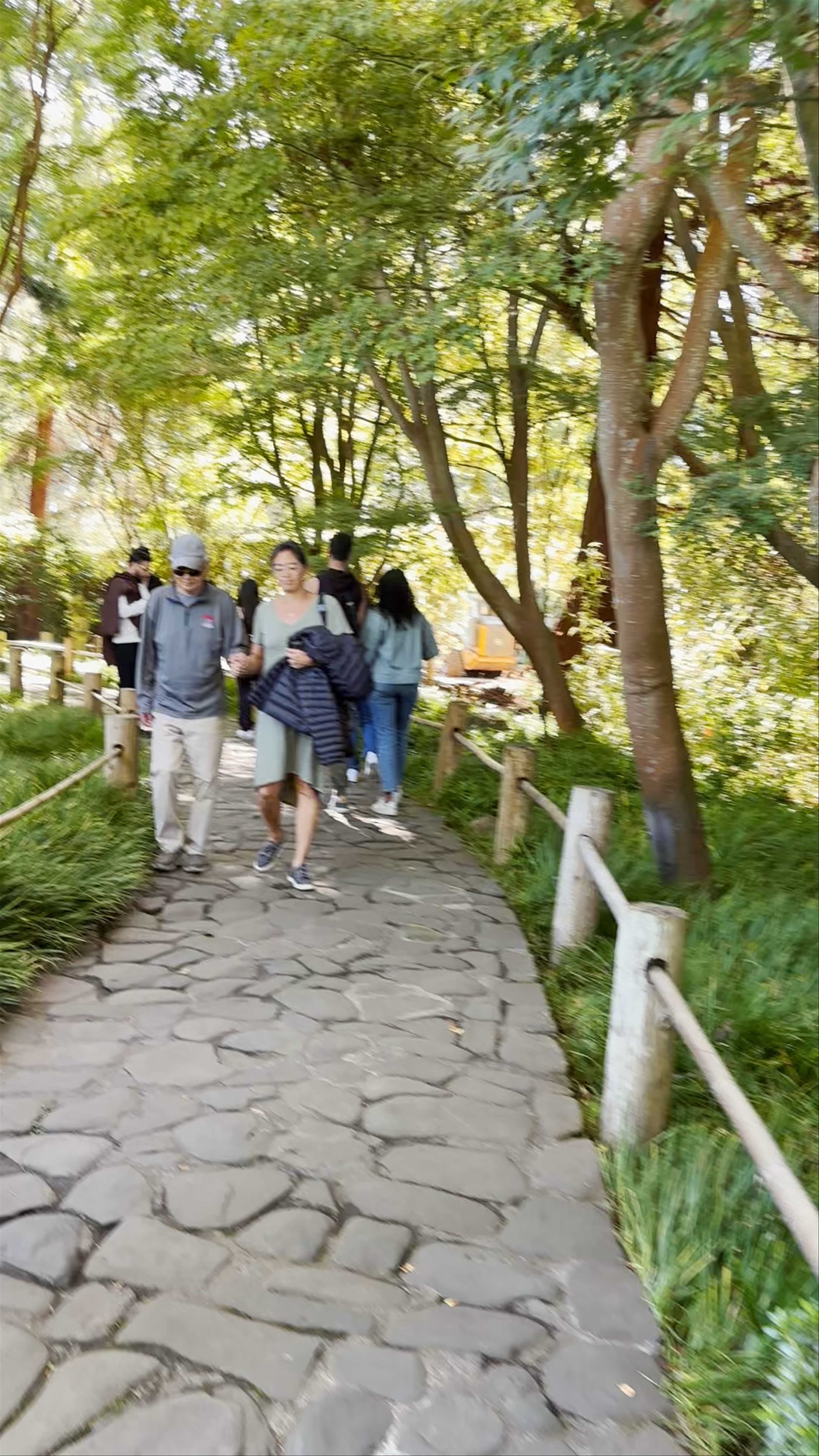 Japanese Tea Garden