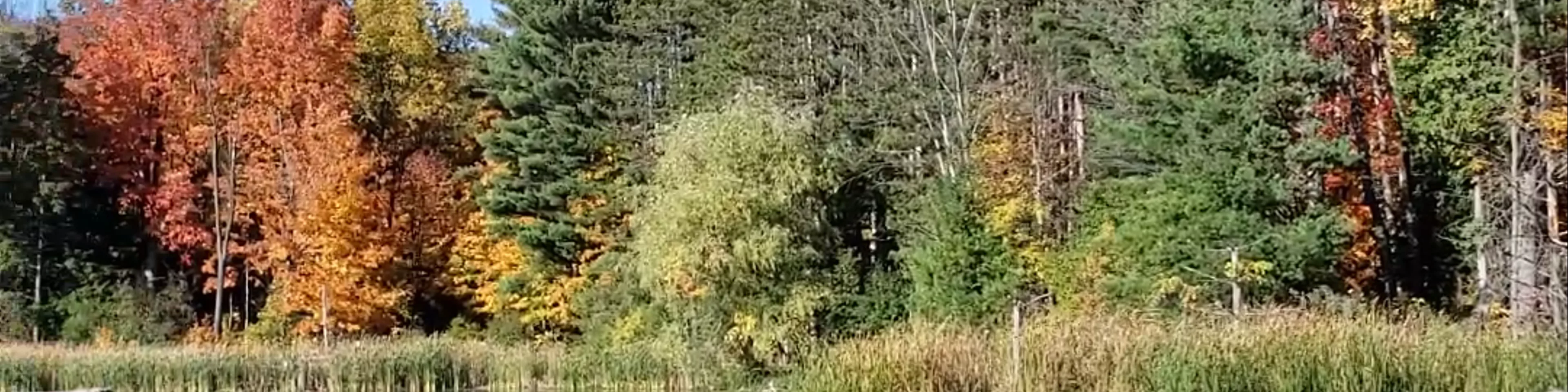 Huron Natural Area