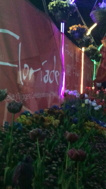Floriade - Botanical Gardens Near Me - Canberra, ACT