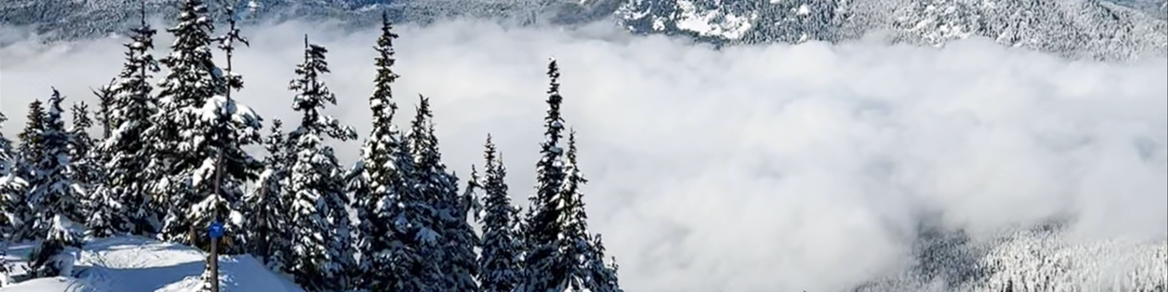 Whistler