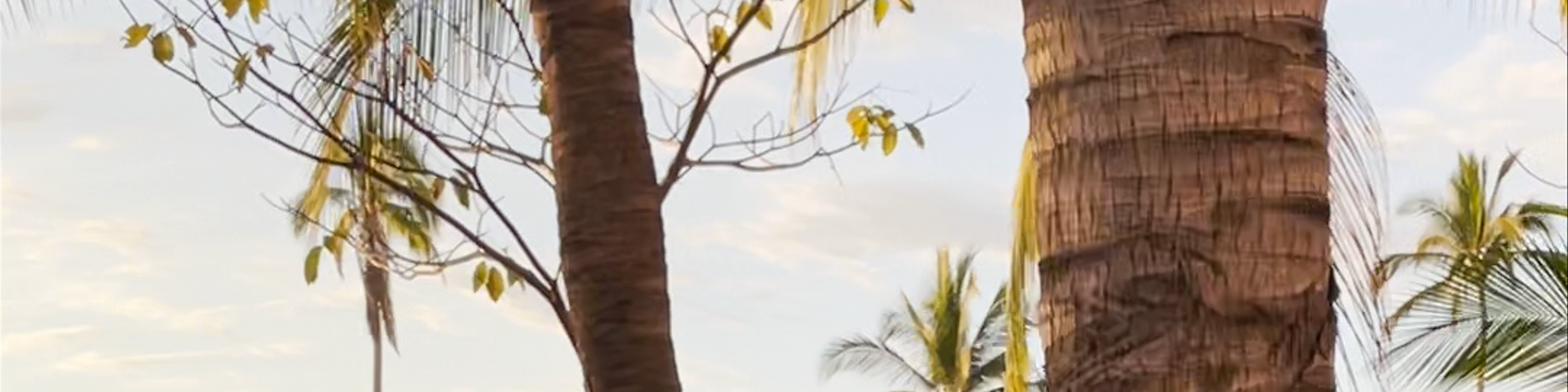 Puerto Vallarta