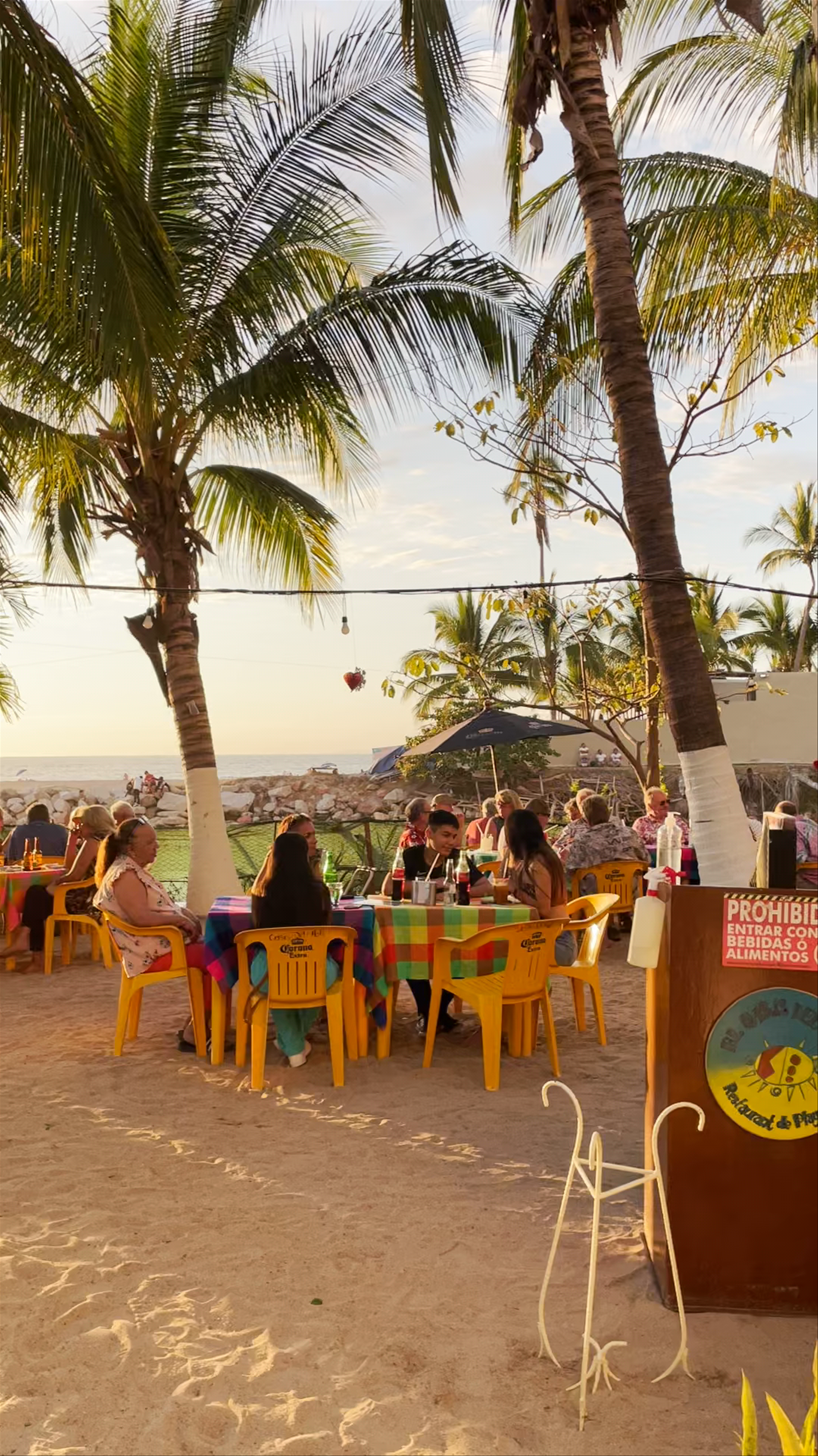 Evening Vibes at El Oasis del Holi, Puerto Vallarta