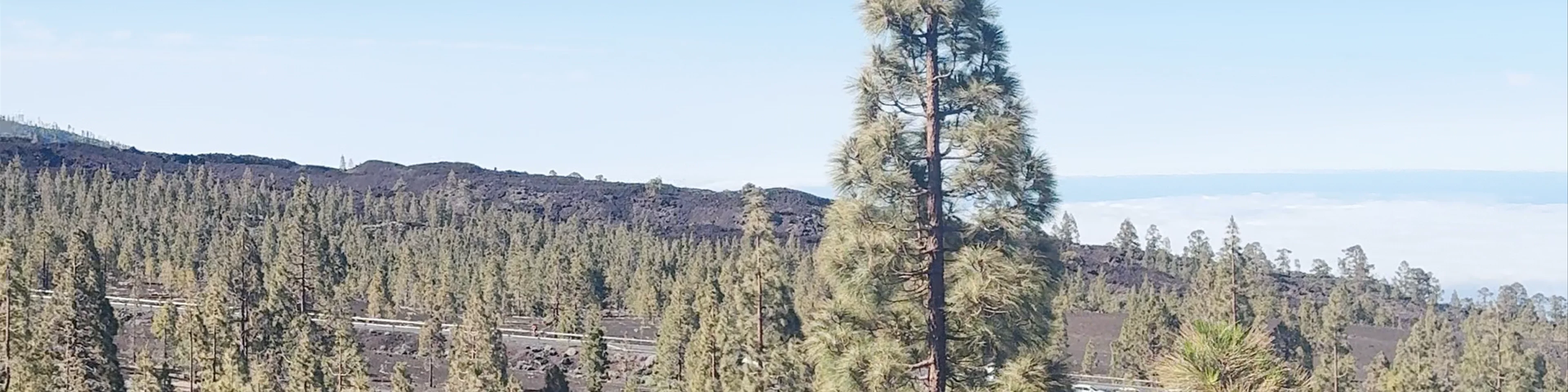 Montaña de la Botija