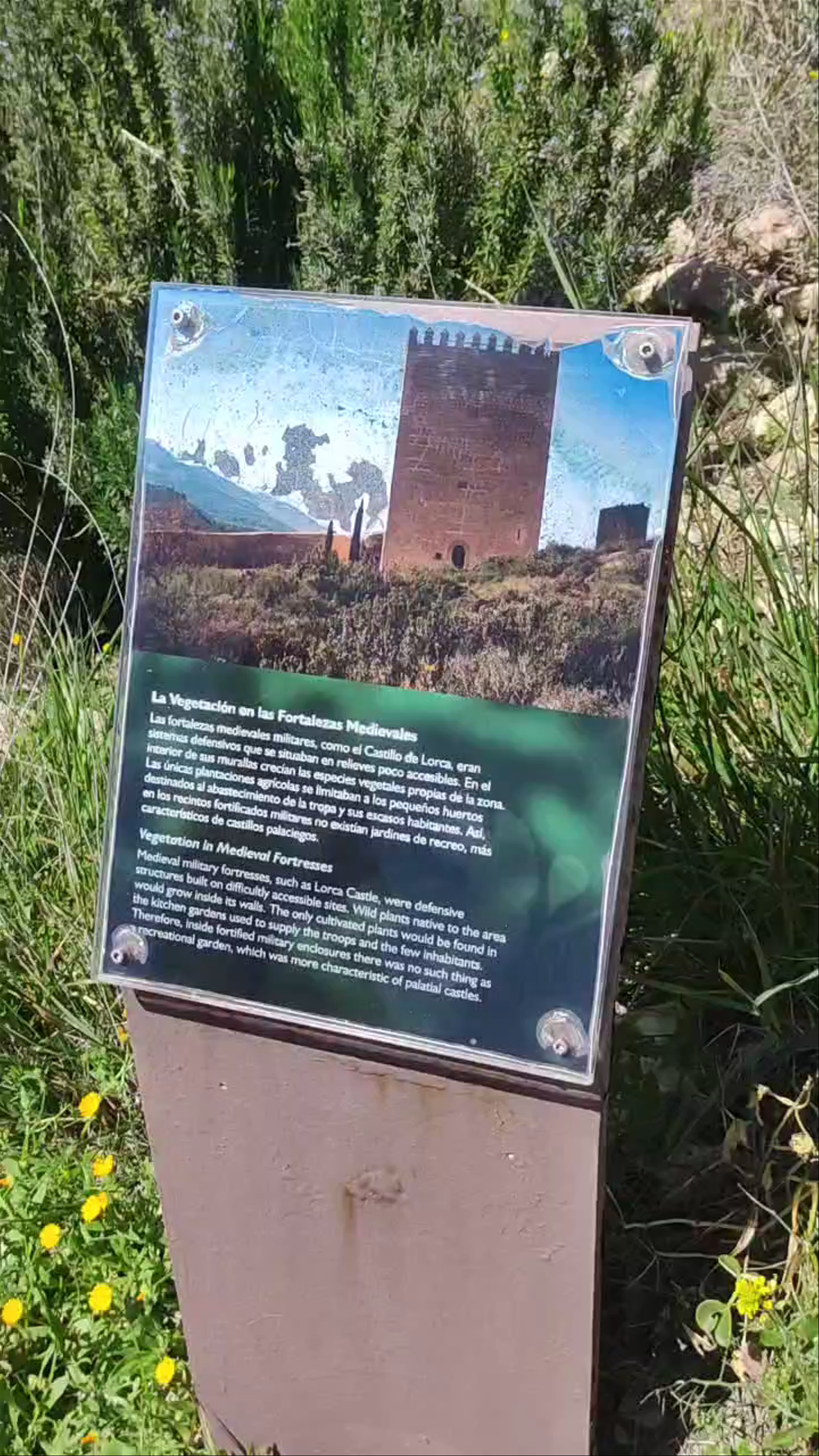 Torre del Espolón