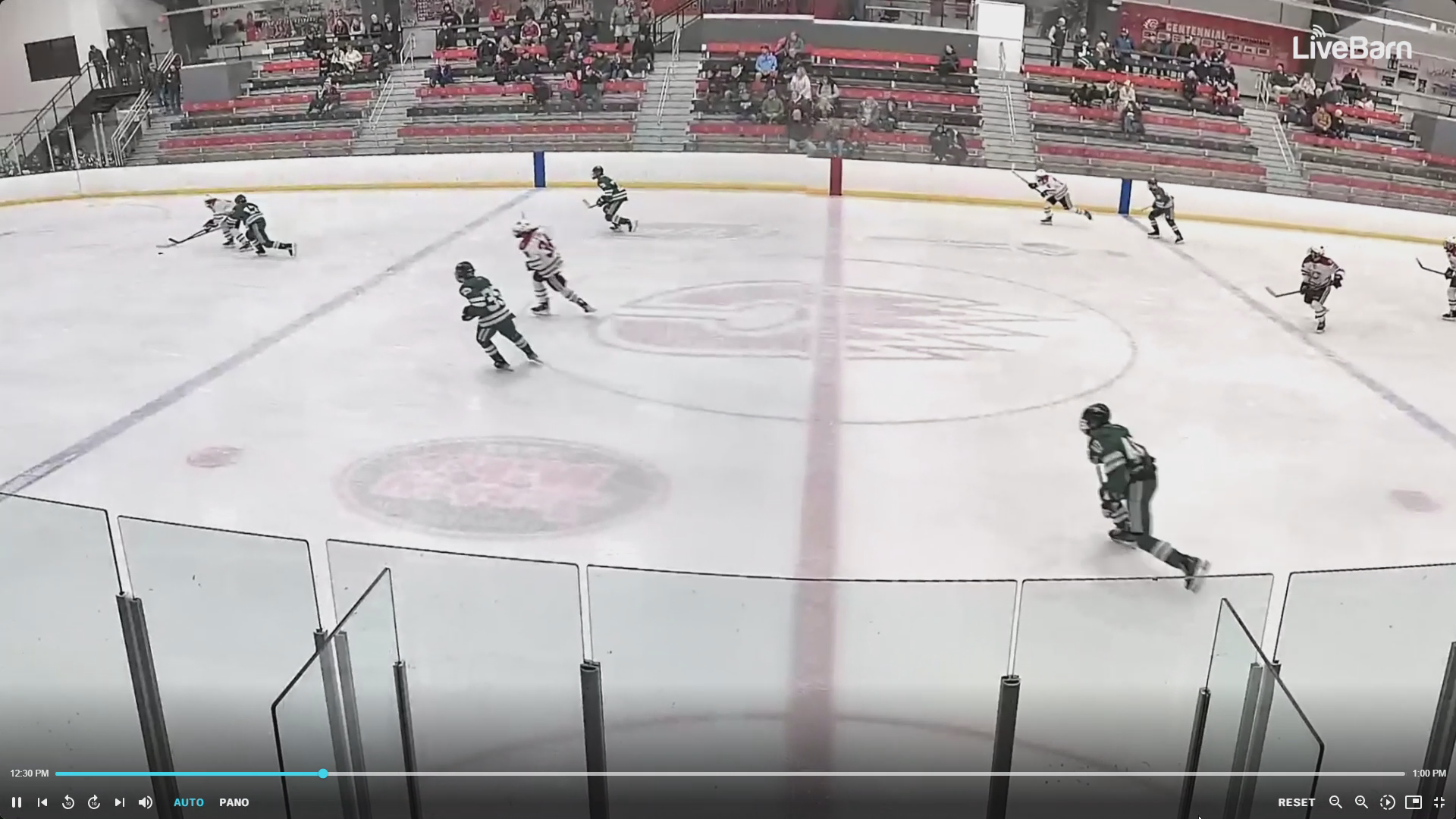 Jackson Bednarek's Overtime Winner: