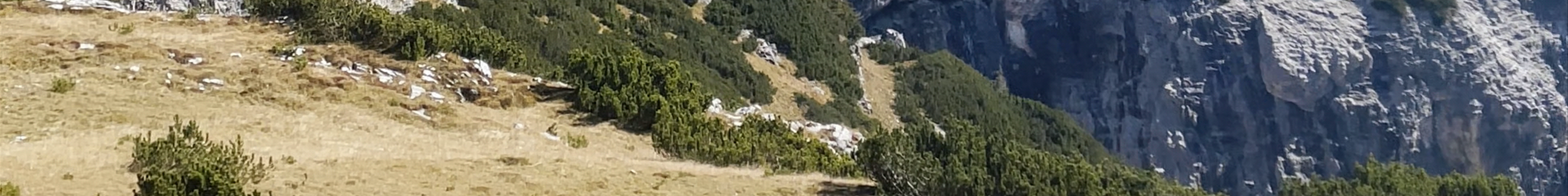 Tours & experiences in Auronzo