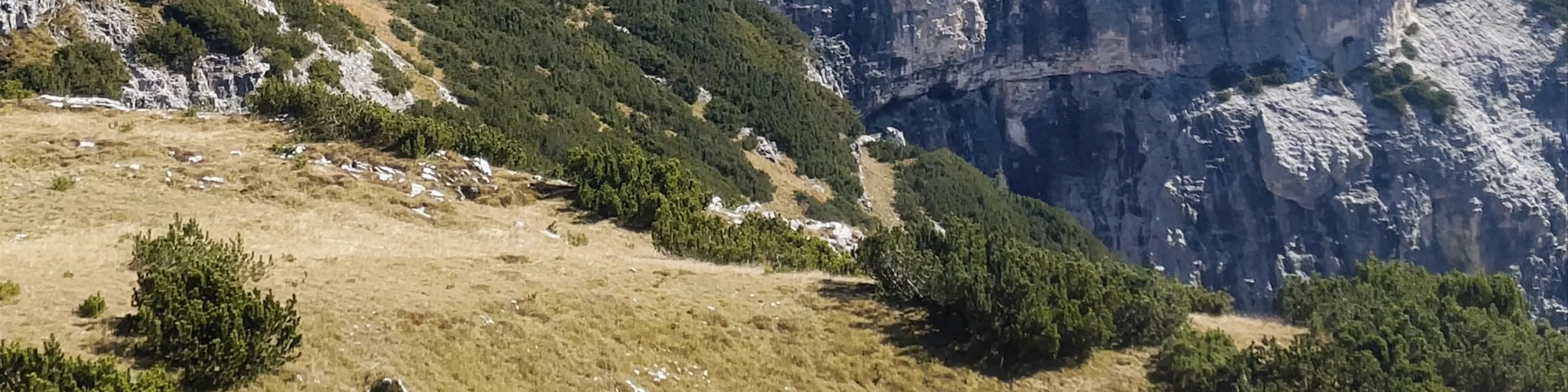 Auronzo di Cadore