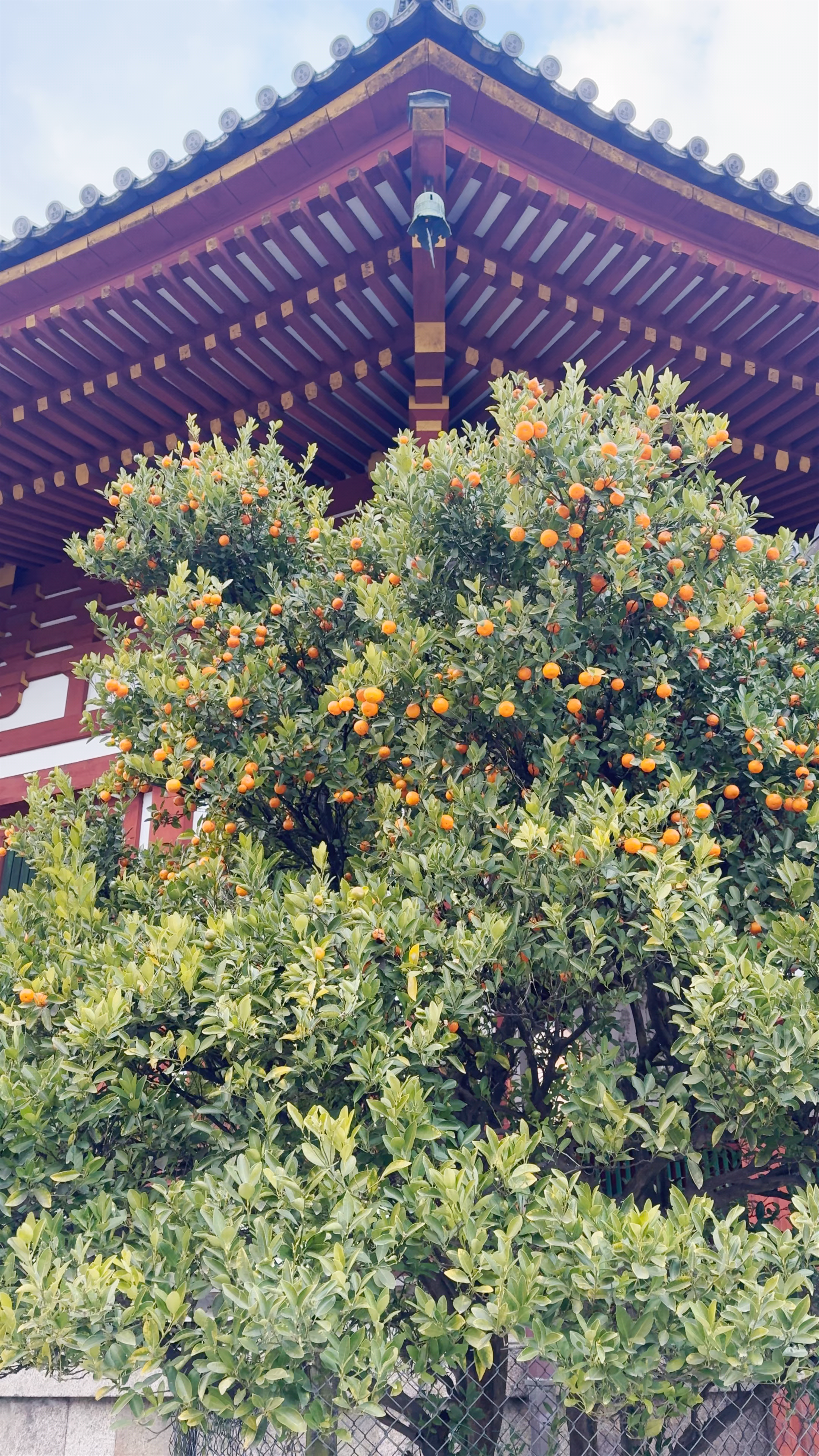 Kofuku-ji Nan-endo (Southern Round Hall)