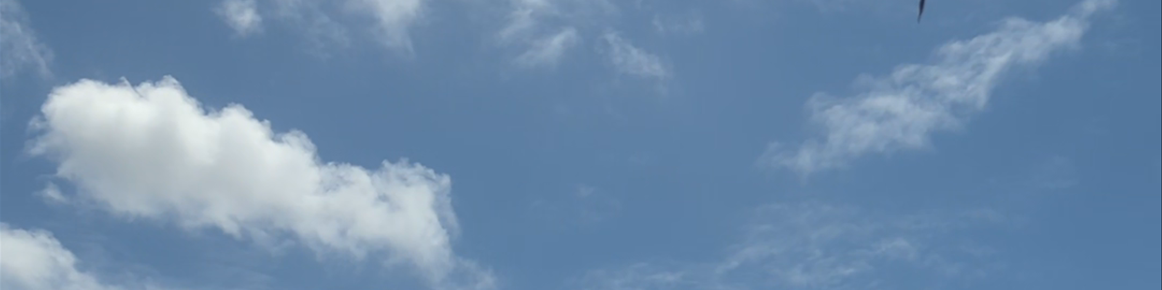 Tonga