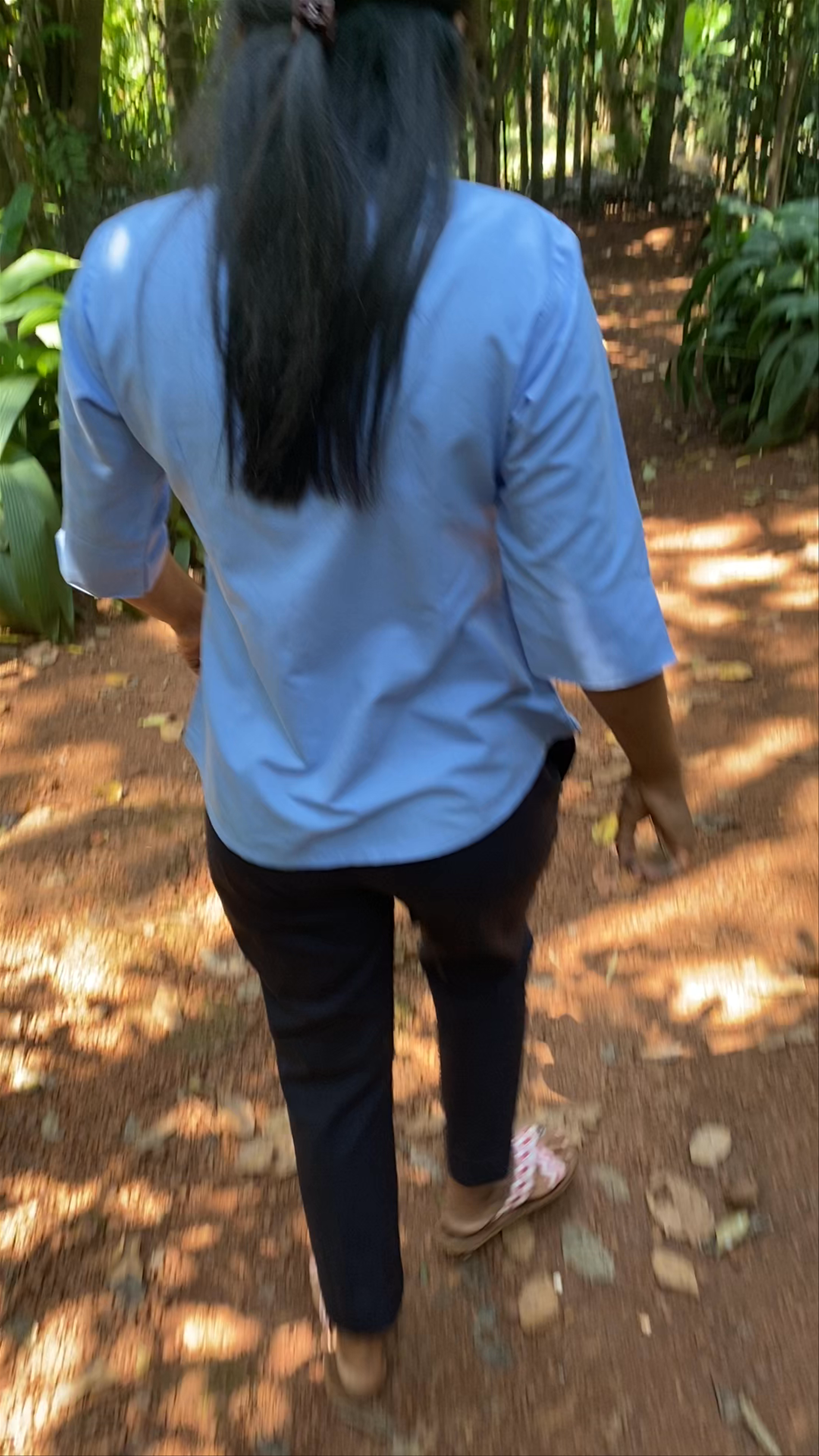 Tropical Spice Plantation