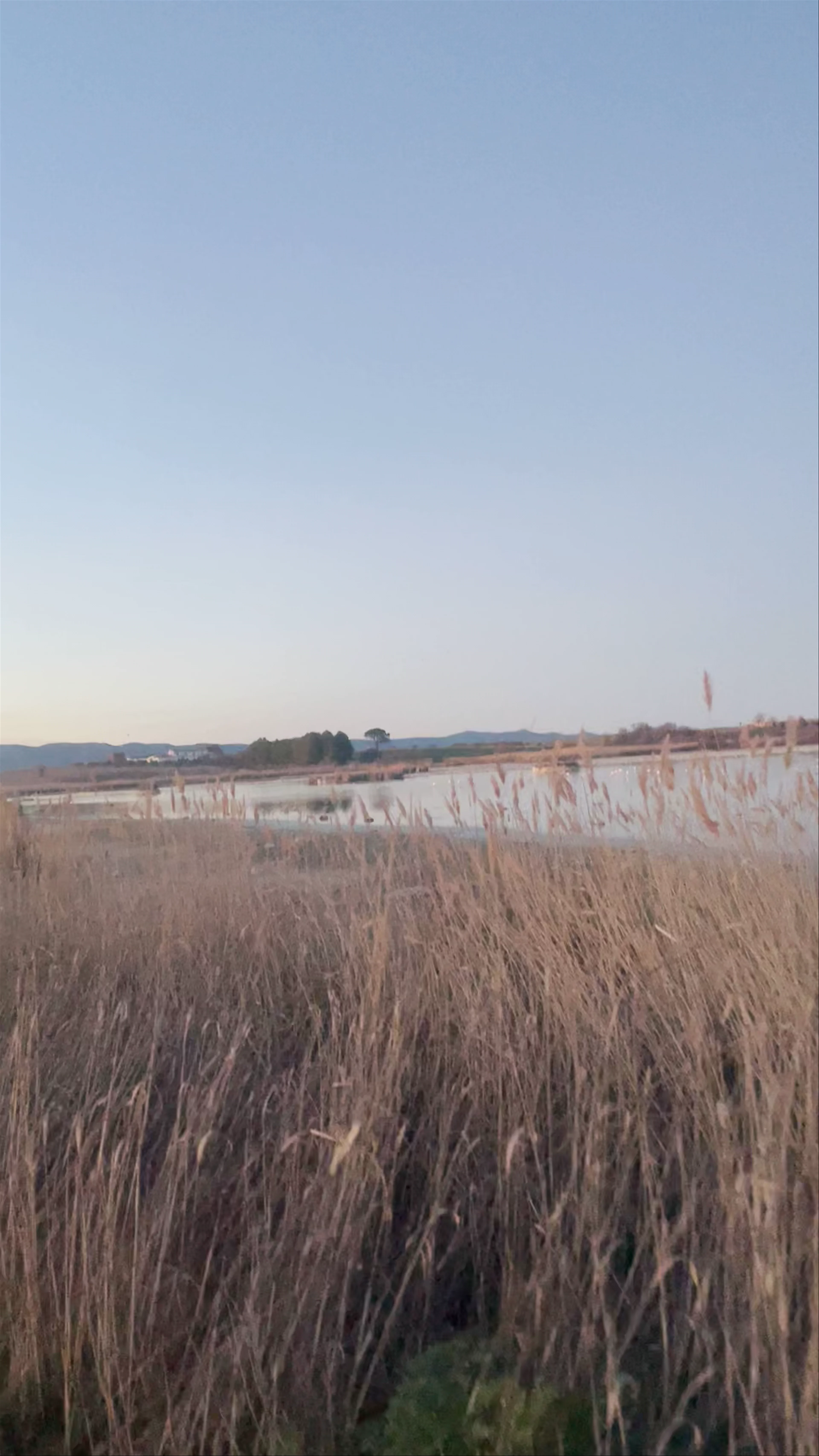 Laguna de Navaseca