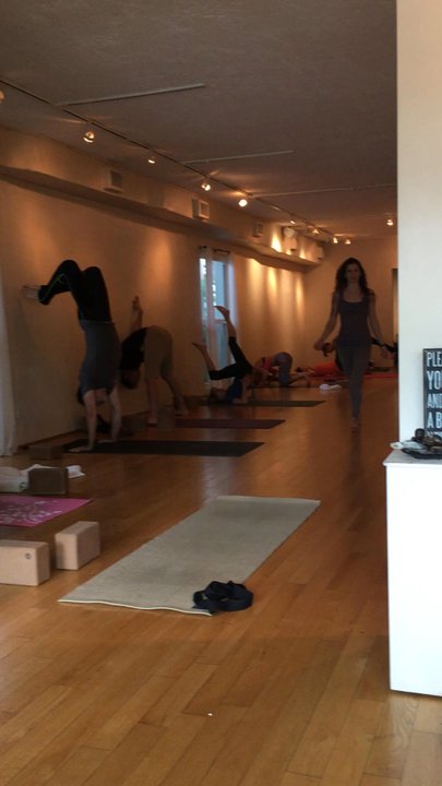 Dharma Yoga Studio - Calm self practice - Yoga Near Me
