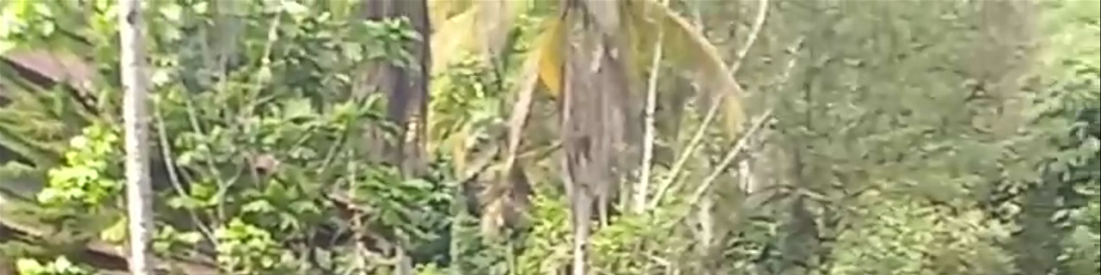 Pura Gunung Kawi Sebatu