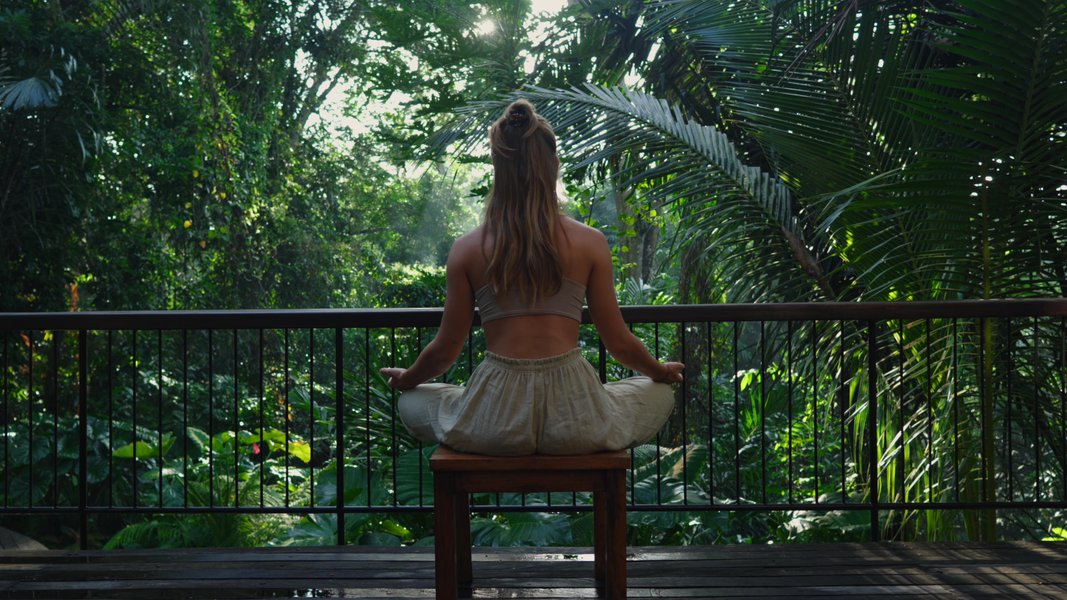 Awaken with the jungle - Guided  Morning Meditation 