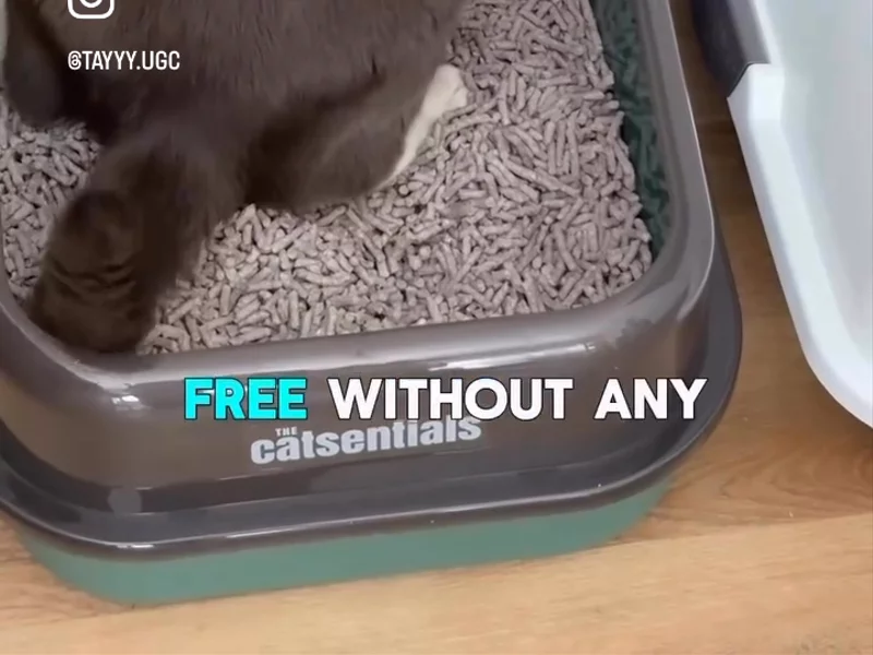 Pet Circle - Breeders Choice