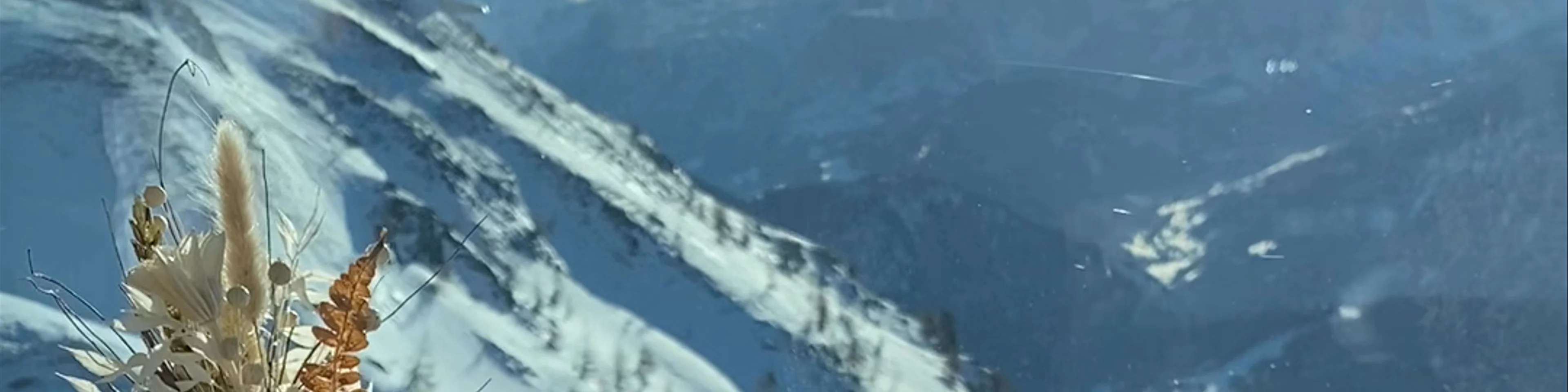AlpiNN