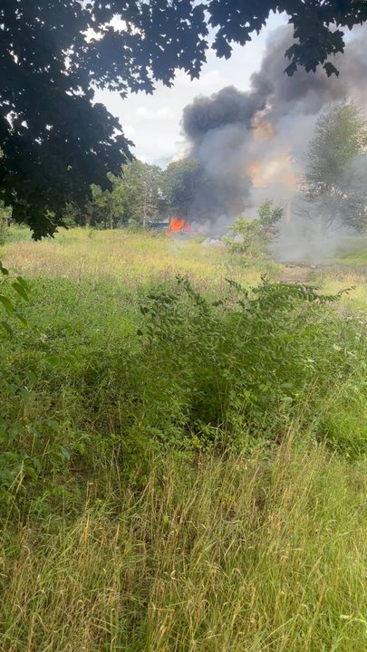Thunder Over Michigan - Area around the crash including the tree it hit. - Local Flavor Near Me - Belleville, Michigan