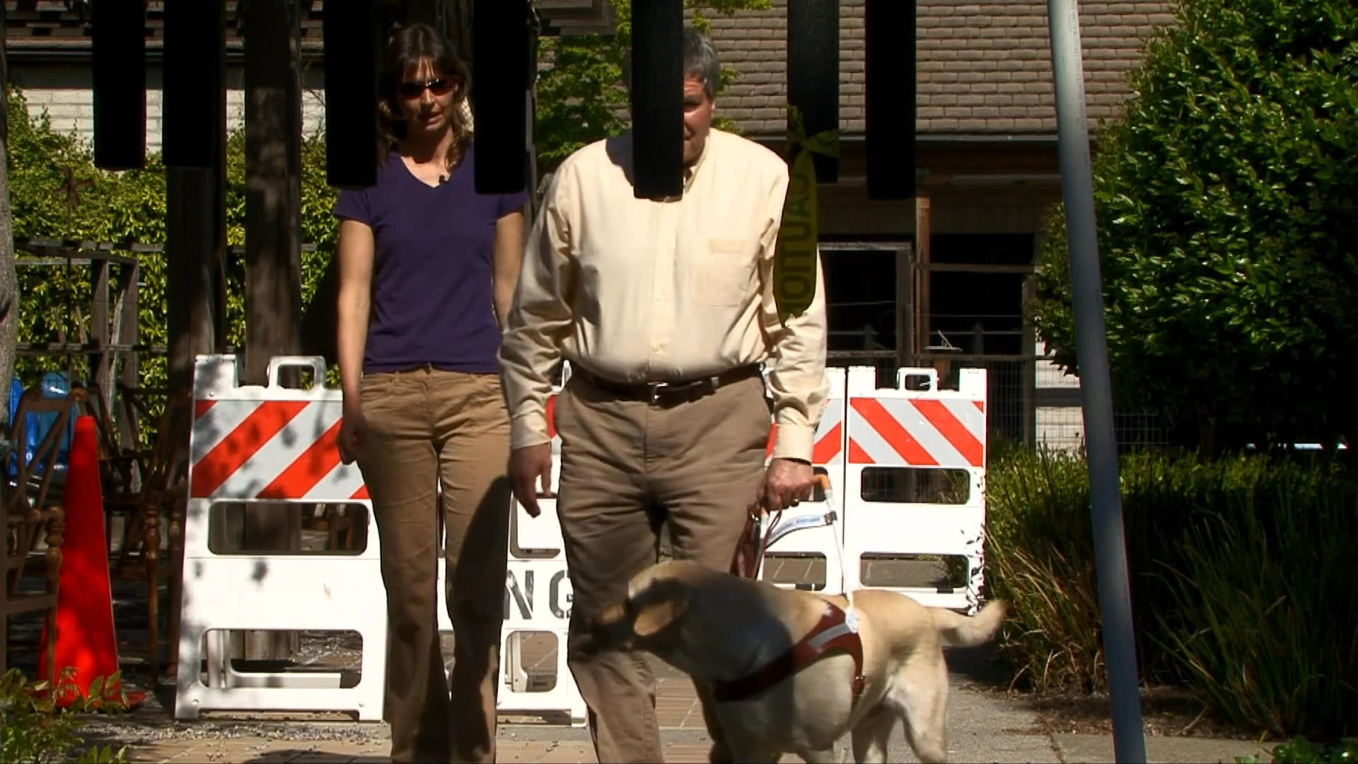 A trainer guides a yellow labrador retriever through an obedience drill and navigational exercise in an outdoor setting. The handler reinforces positive behavior as the dog successfully completes the task.
