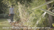 Black & Decker BEBLV301-QS bladblazer 3000 W video - thumbnail