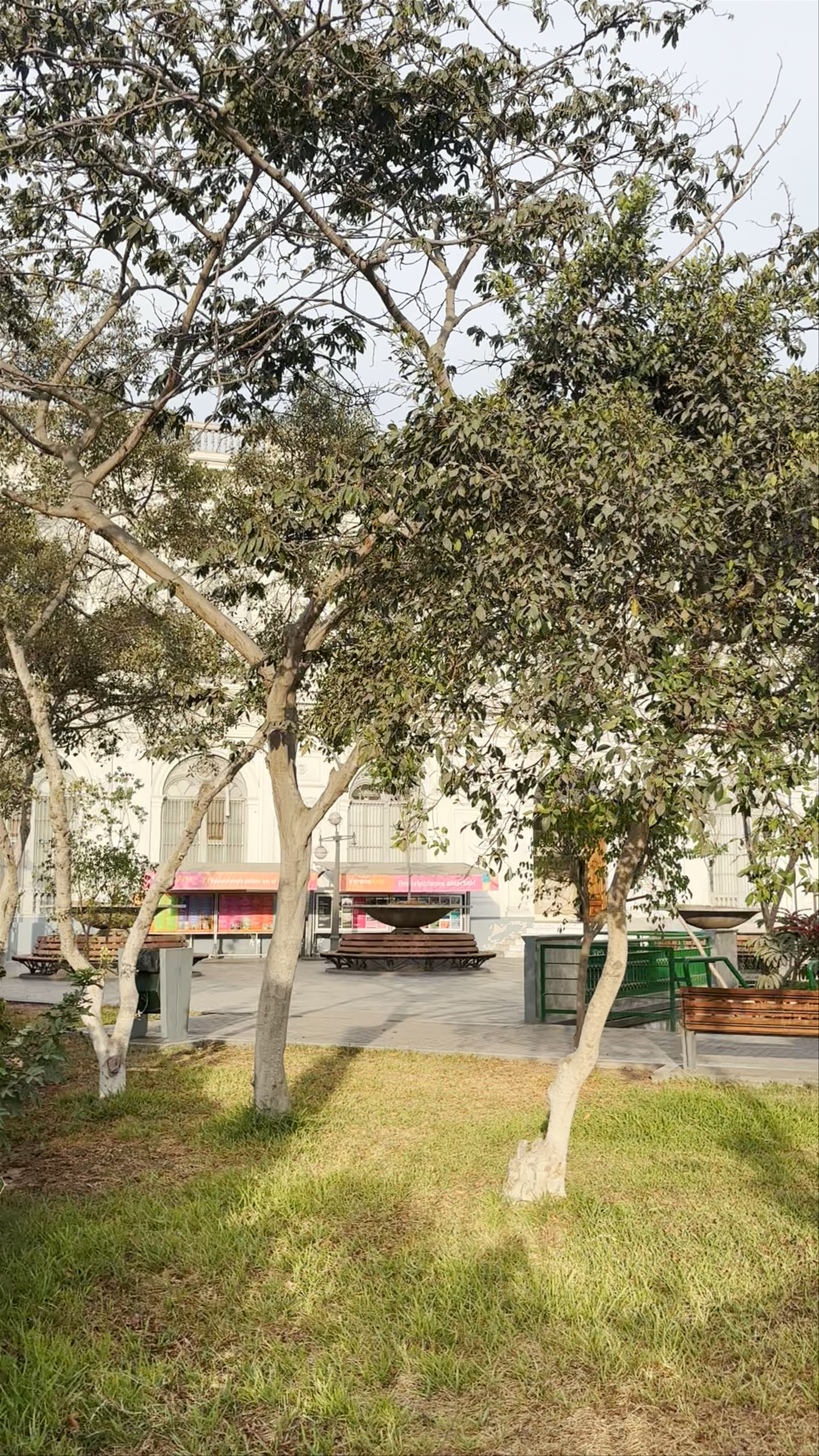 Parque Juana Alarco de Dammert
