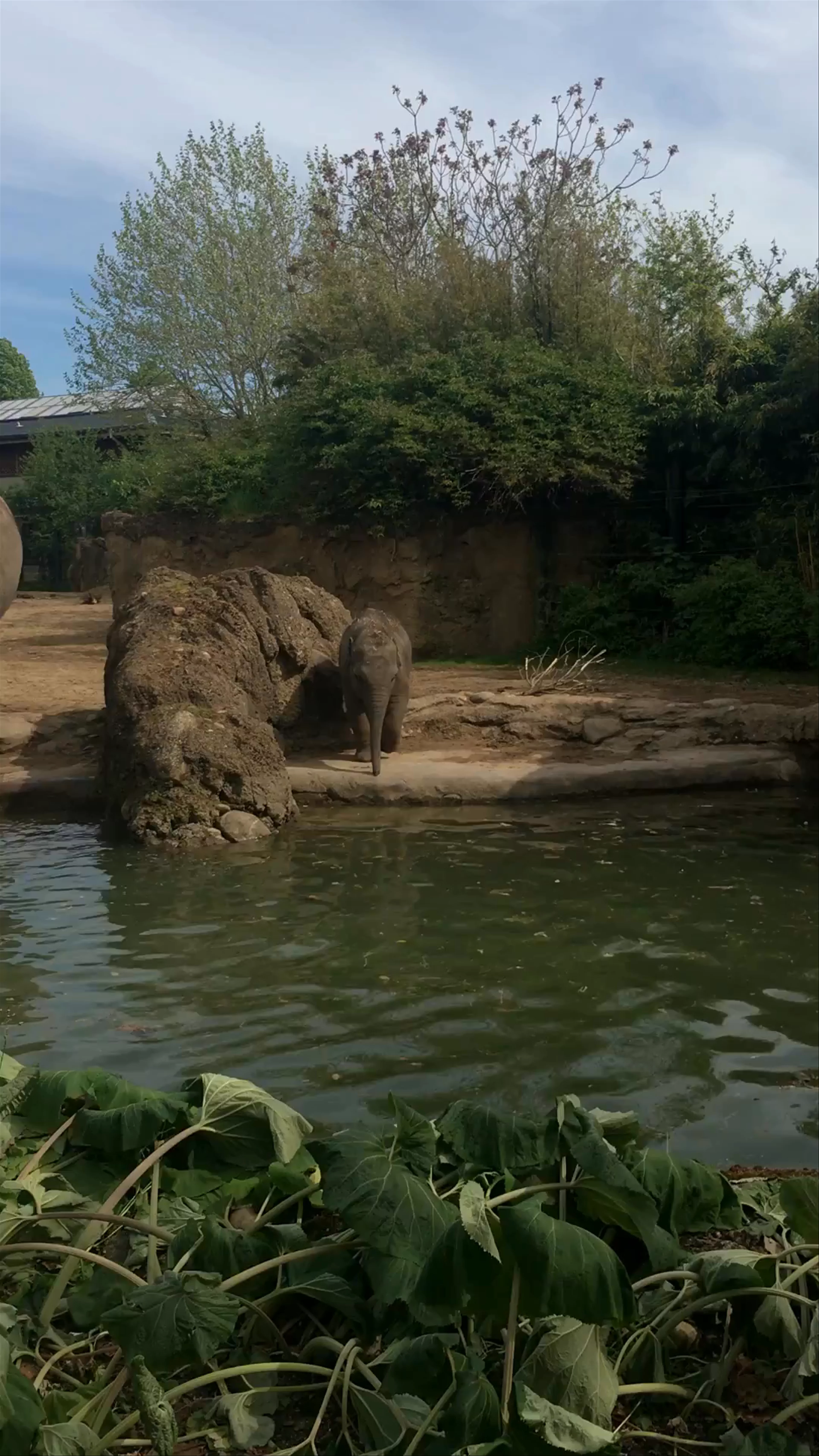 Dublin Zoo