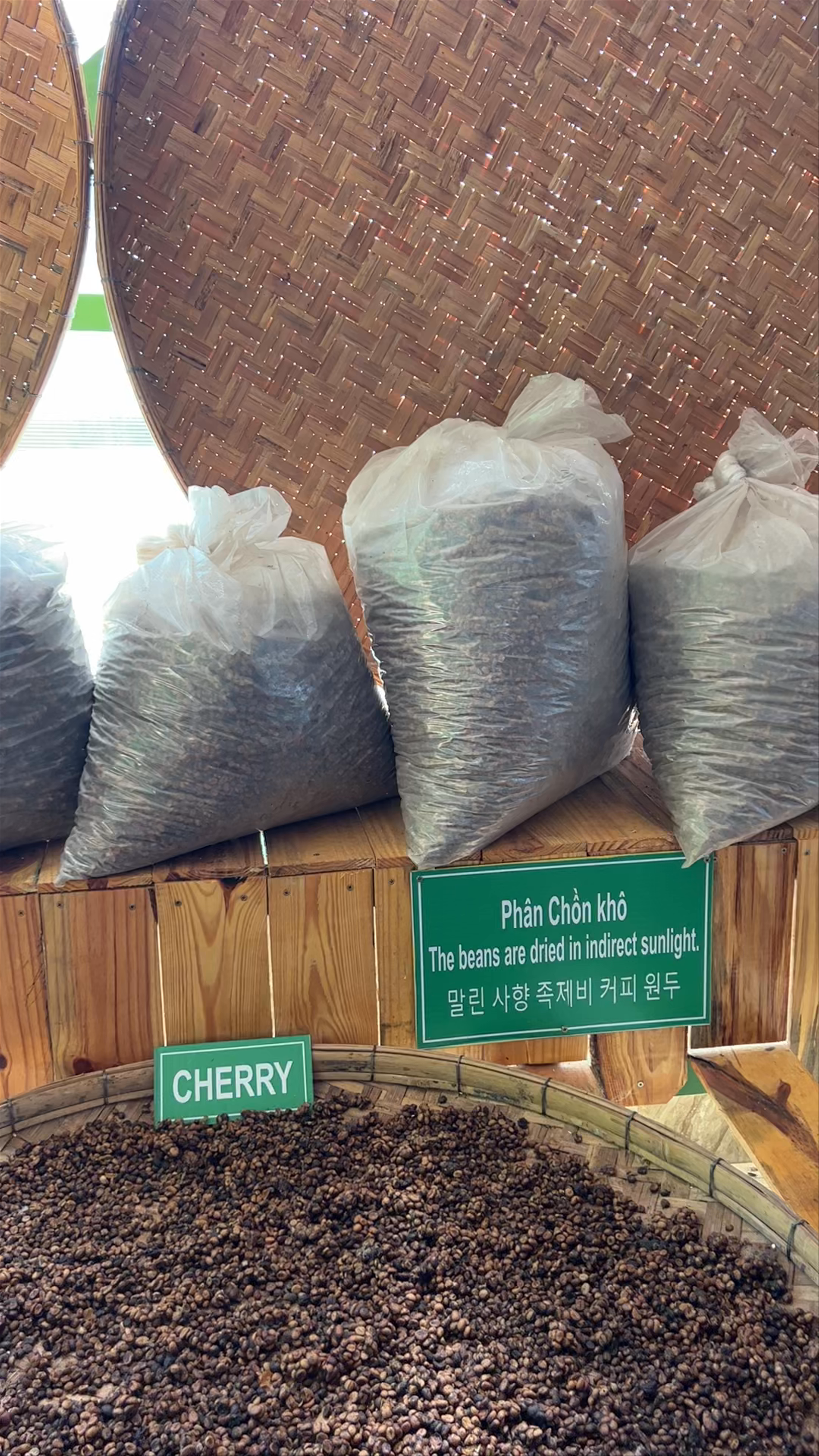 Me Linh Coffee Garden