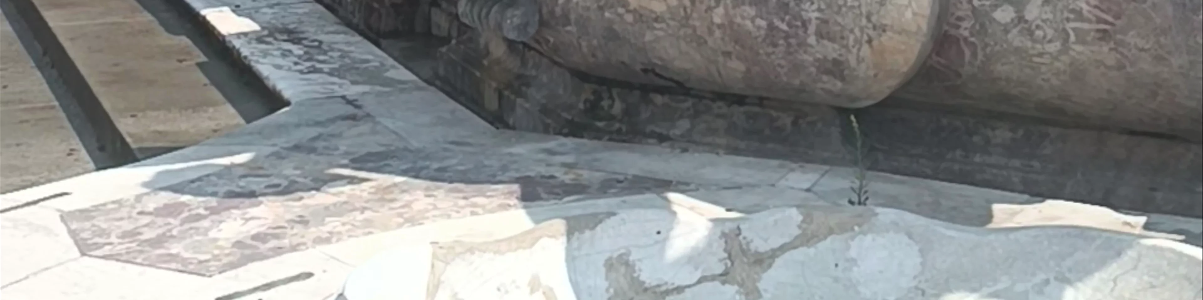 Fontana del Nettuno