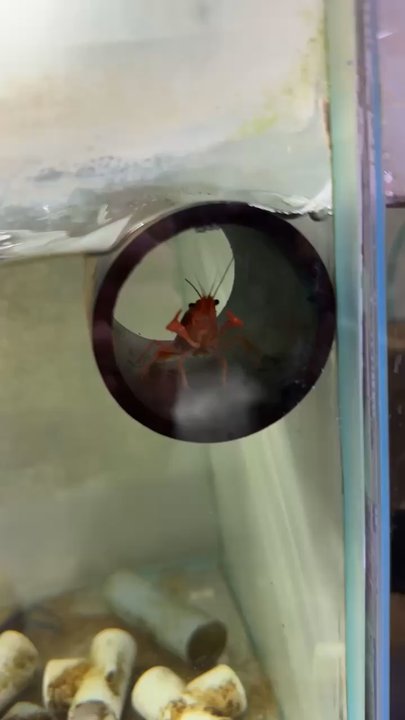 Ck Fish World - Local Fish Stores Near Me - West Covina, California