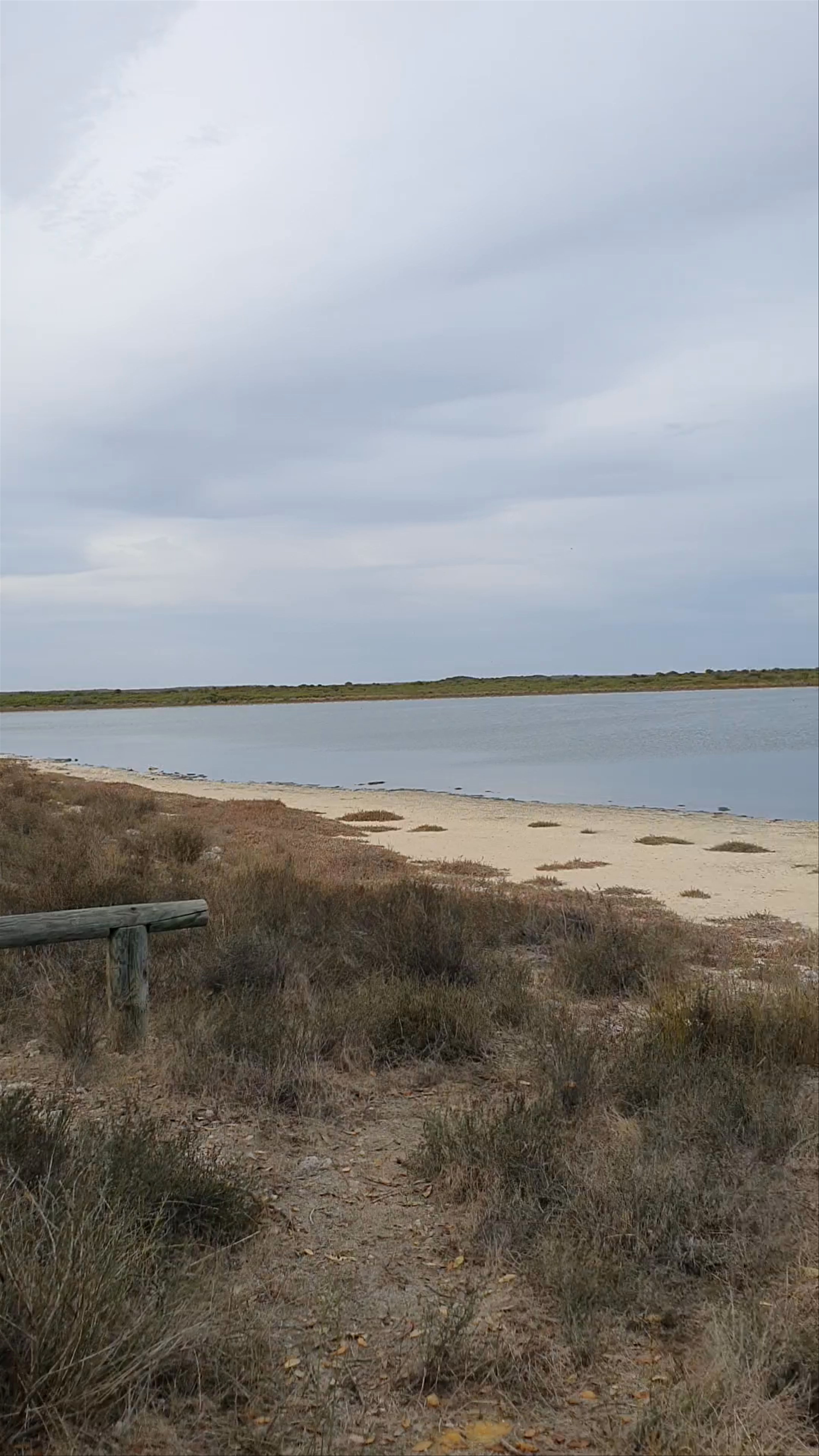 Lake Thetis Stromatolites