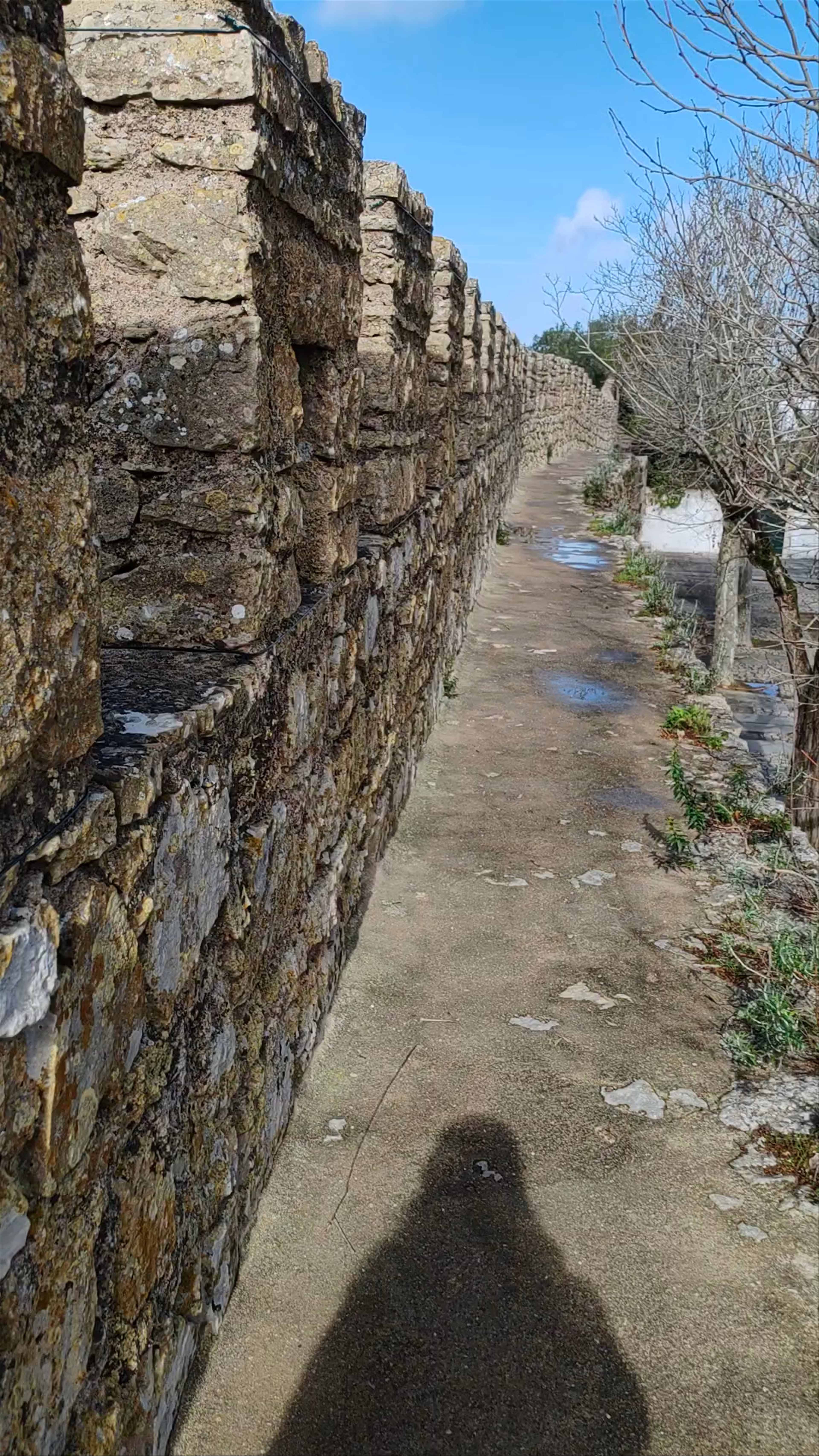 Obidos Castle