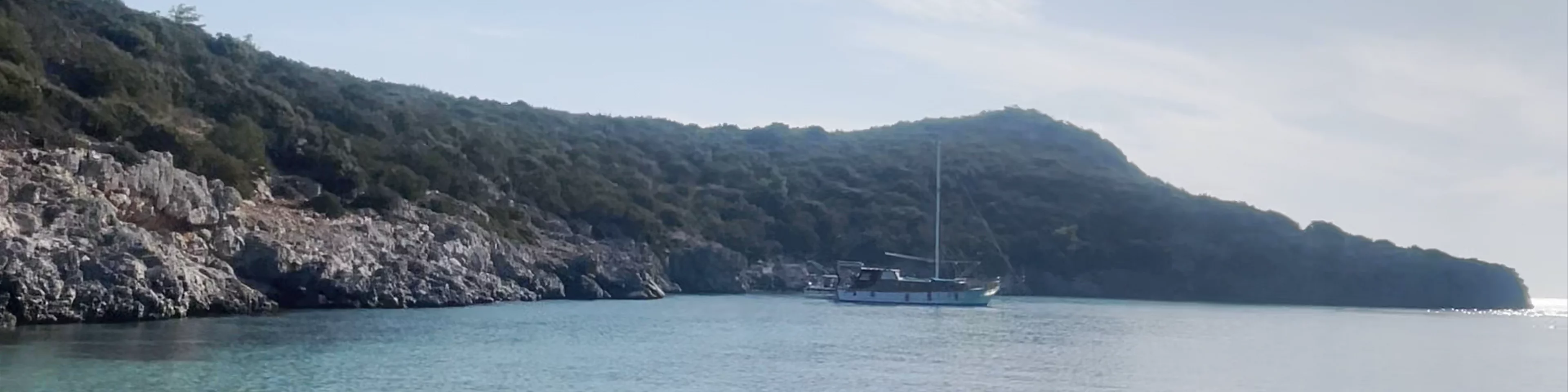 Akvaryum Koyu