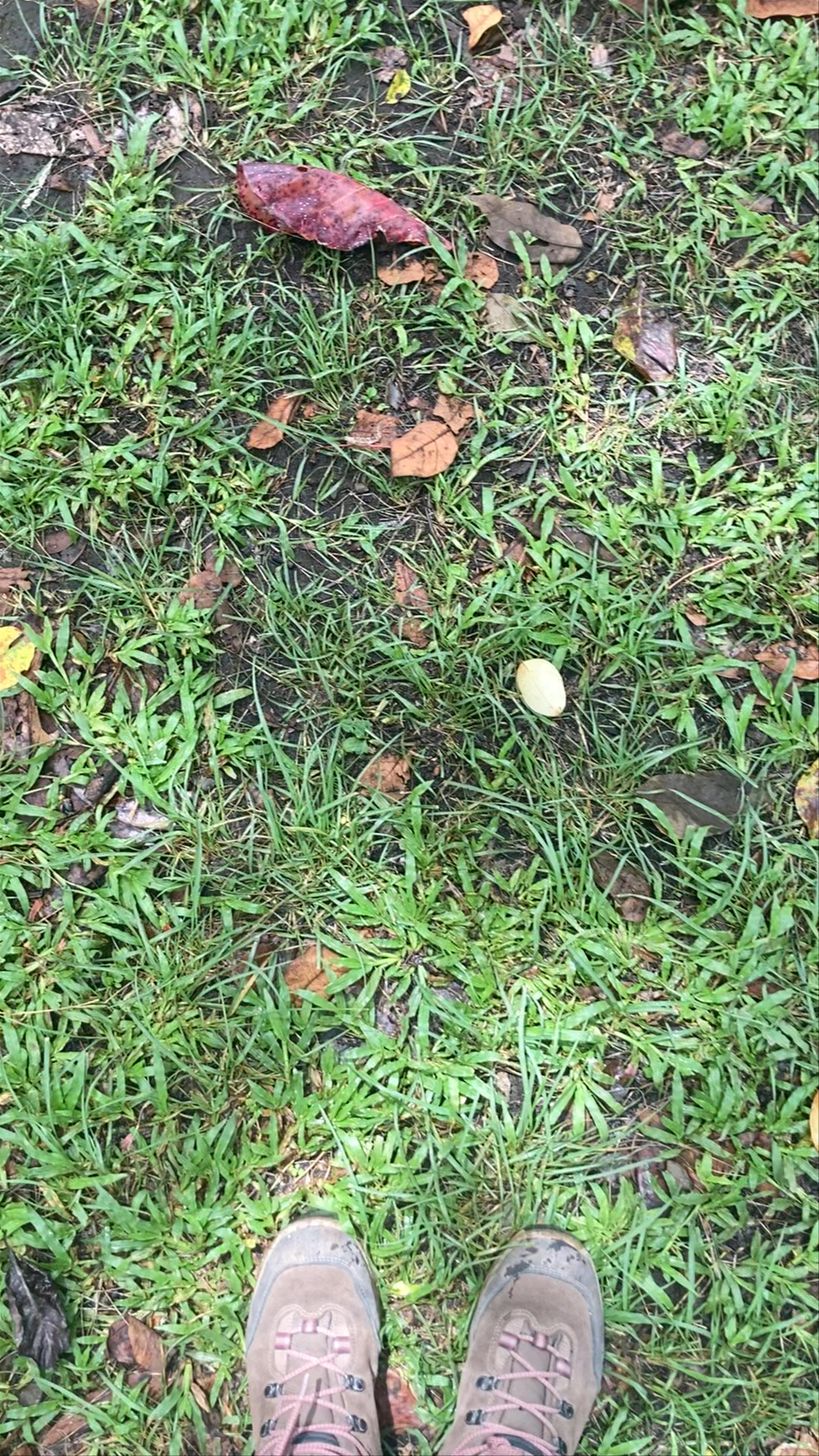 Parque Metropolitano