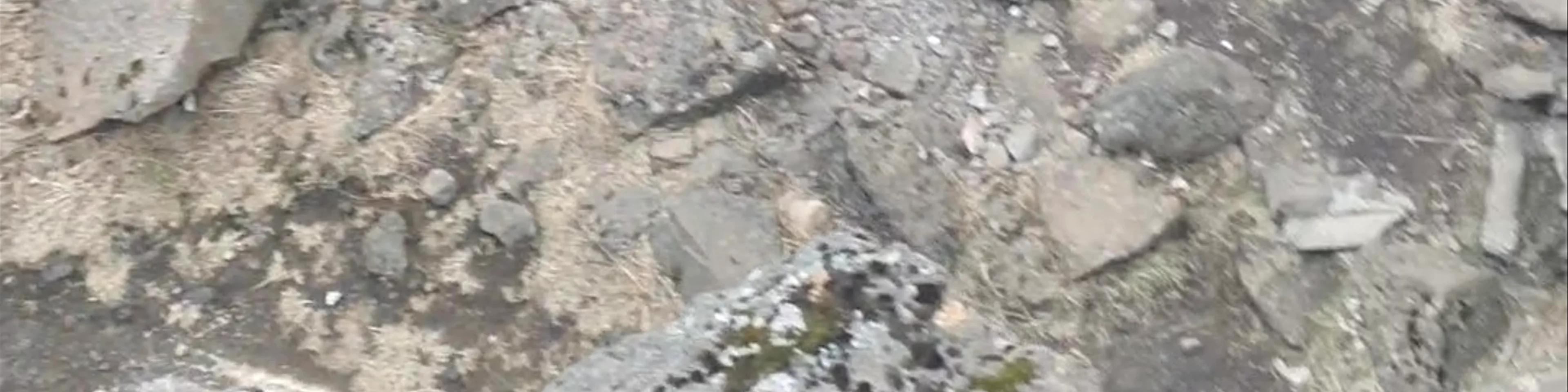 Skotbyrgi úr seinna stríði